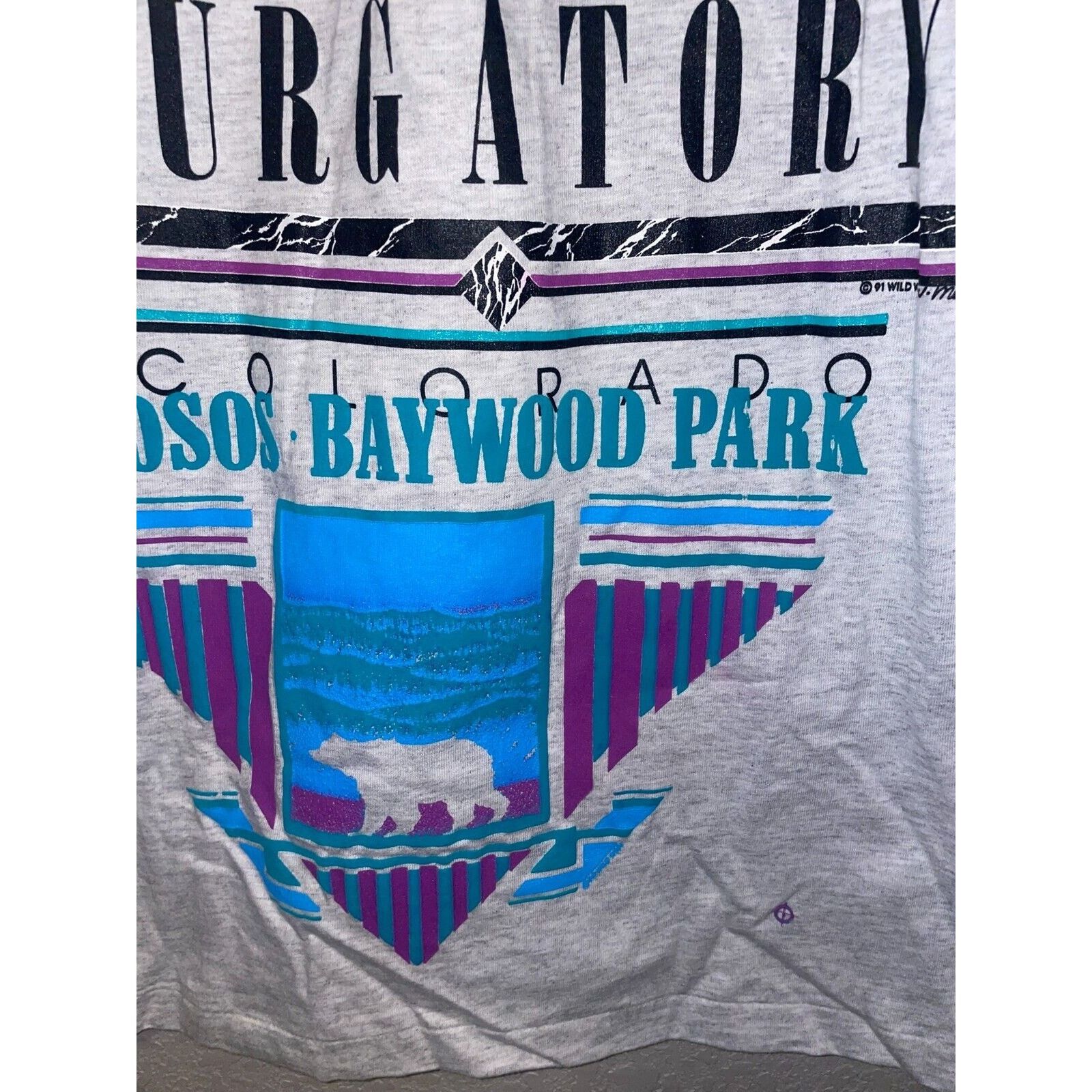 Signal Sport Vintage Purgatory Shirt Baywood Park CO Test Print Ski 90s L Size US L / EU 52-54 / 3 - 7 Thumbnail
