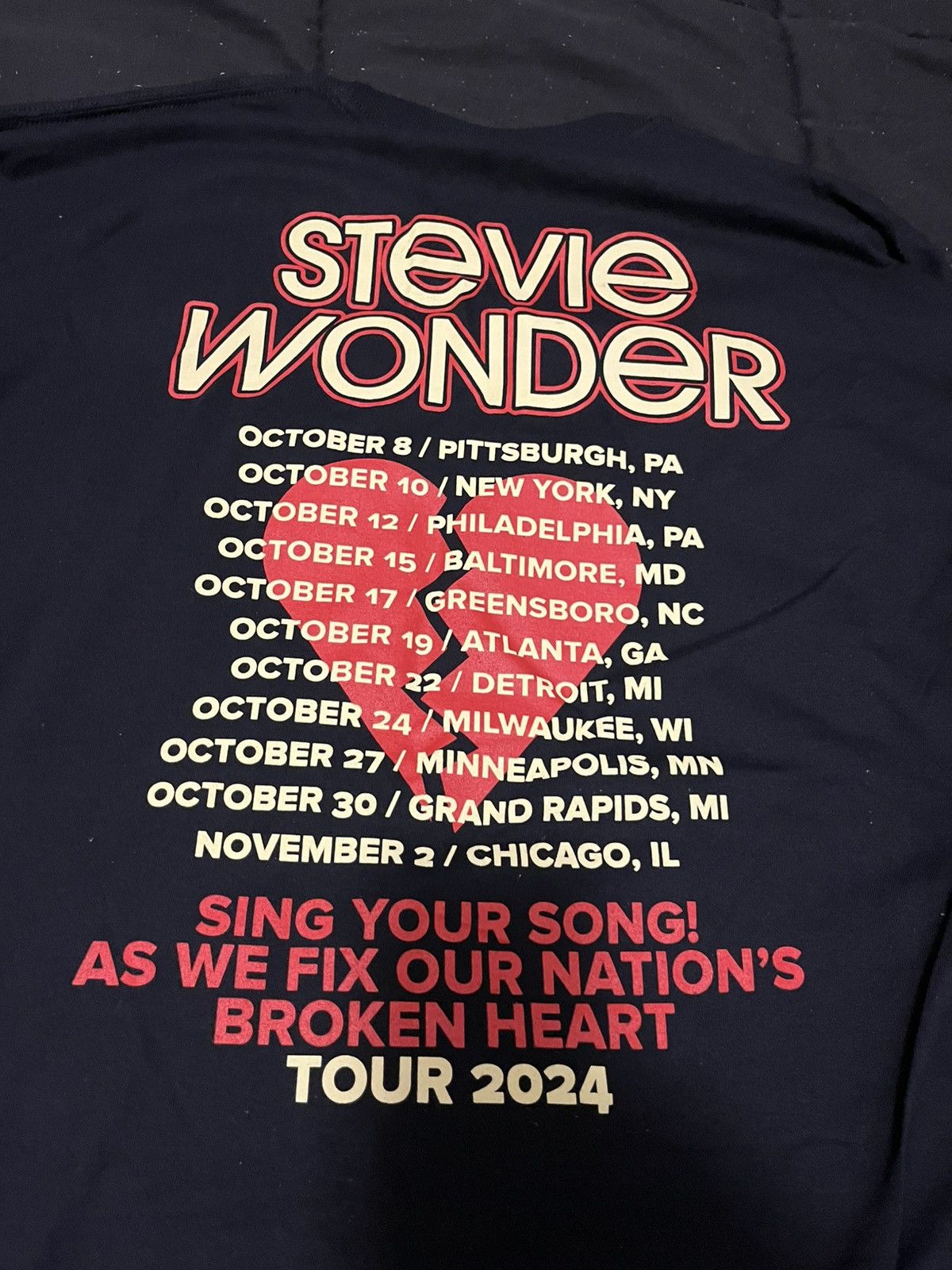 Band Tees Stevie Wonder 2024 Tour tee Size US XXL / EU 58 / 5 - 2 Thumbnail