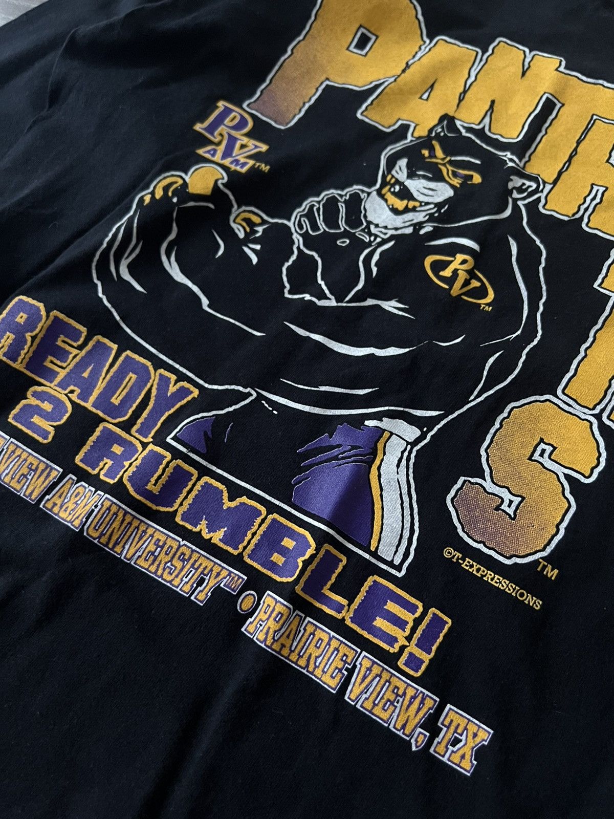 Band Tees × Vintage ‼️Panthers by Anvil Big Logo Print Long Sleeve Size US L / EU 52-54 / 3 - 12 Thumbnail