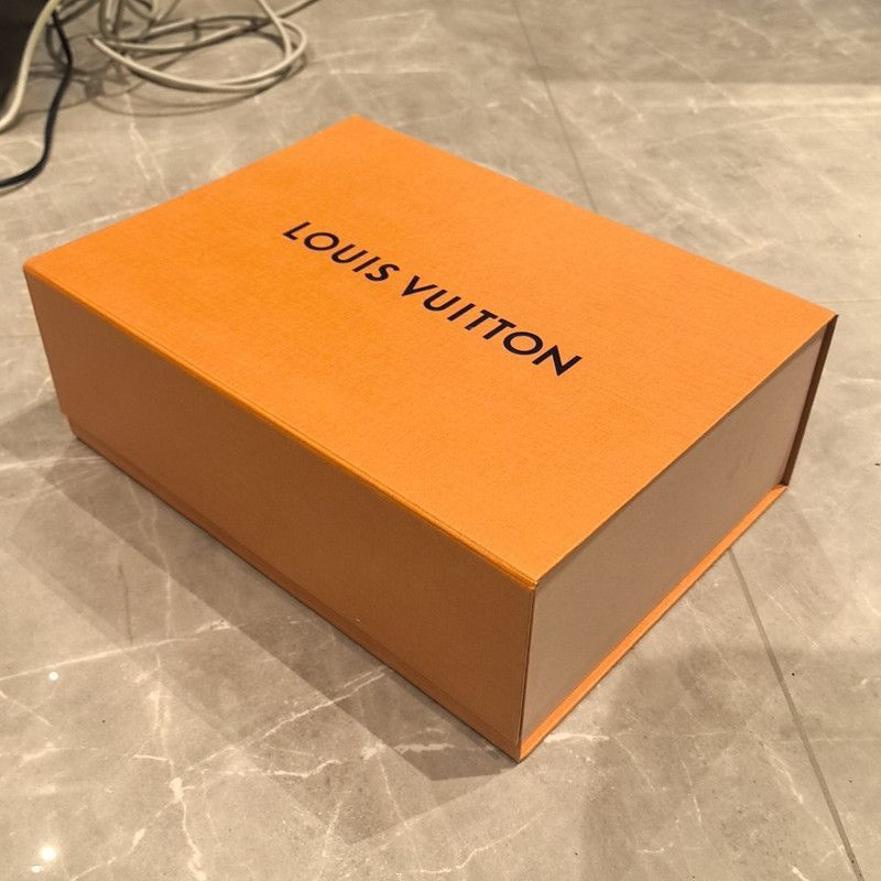 Louis Vuitton Louis Vuitton Skate Low Top Fashion Sneakers for Men -2508 Size US 9.5 / EU 42-43 - 6 Thumbnail