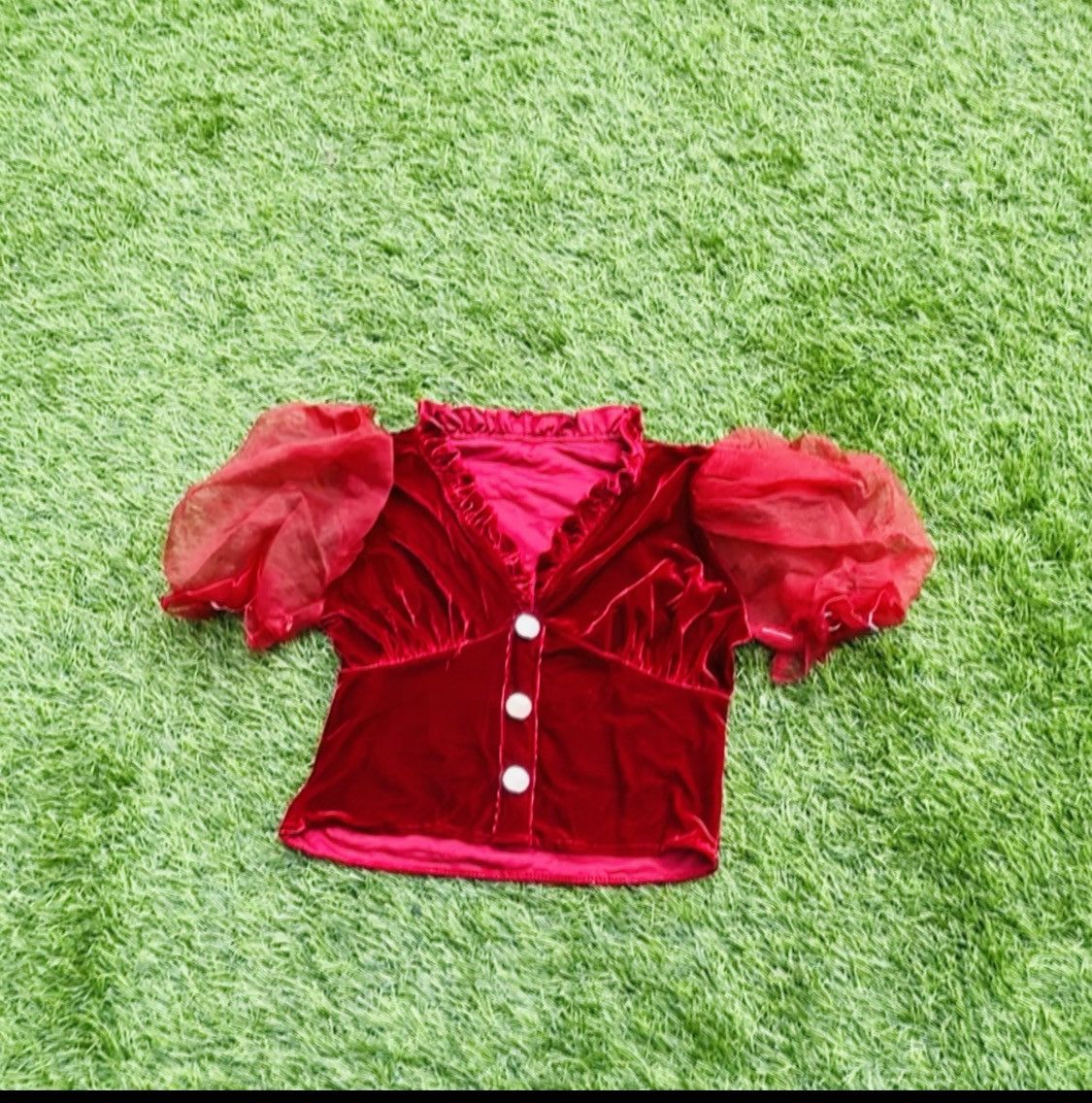 Other Vintage Mesh Sleeve Bloody Velvet Crop Top Size M / US 6-8 / IT 42-44 - 2 Thumbnail