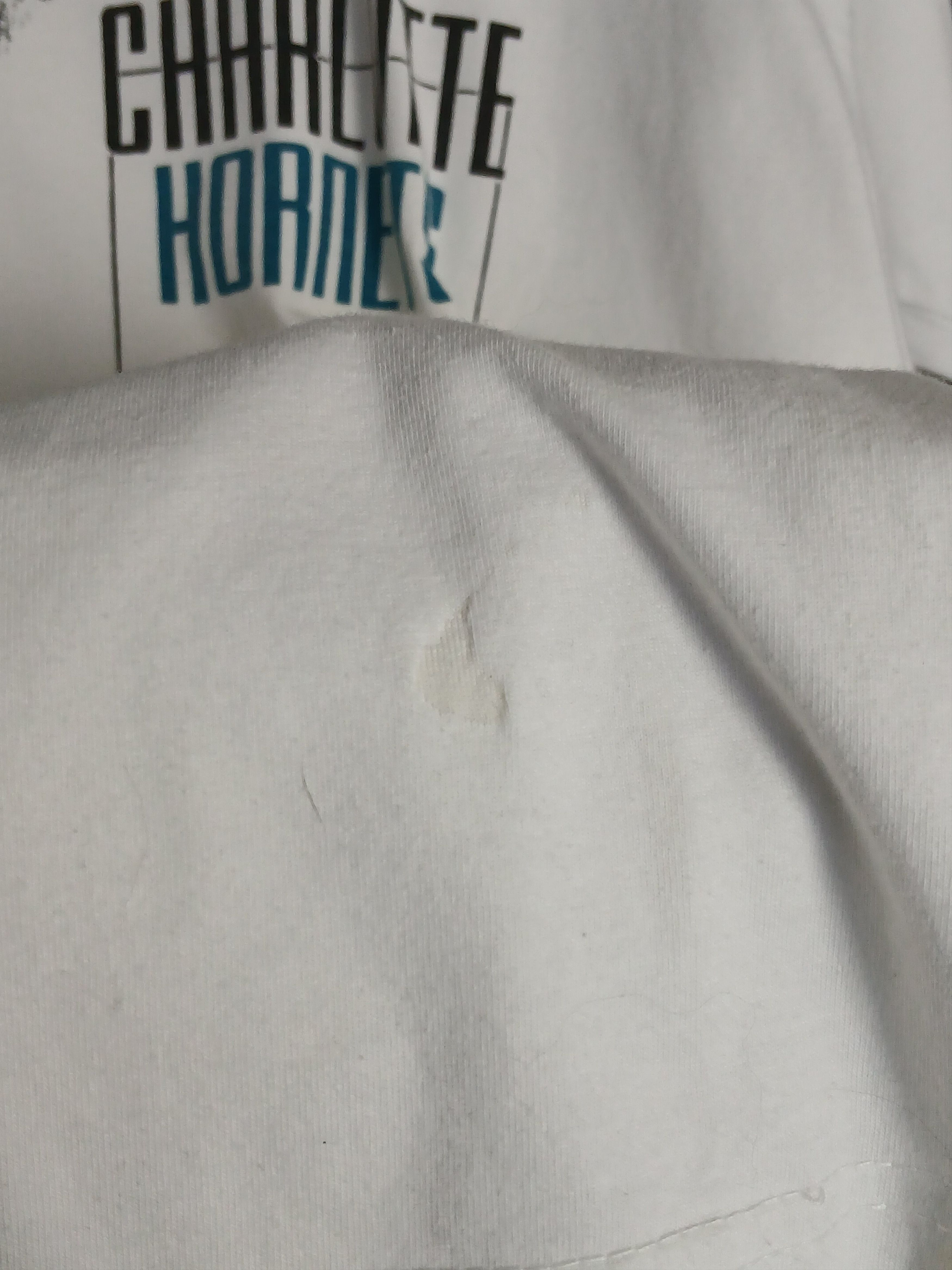 NBA NBA Charlotte Hornets Basketball T-Shirt Size US L / EU 52-54 / 3 - 6 Thumbnail