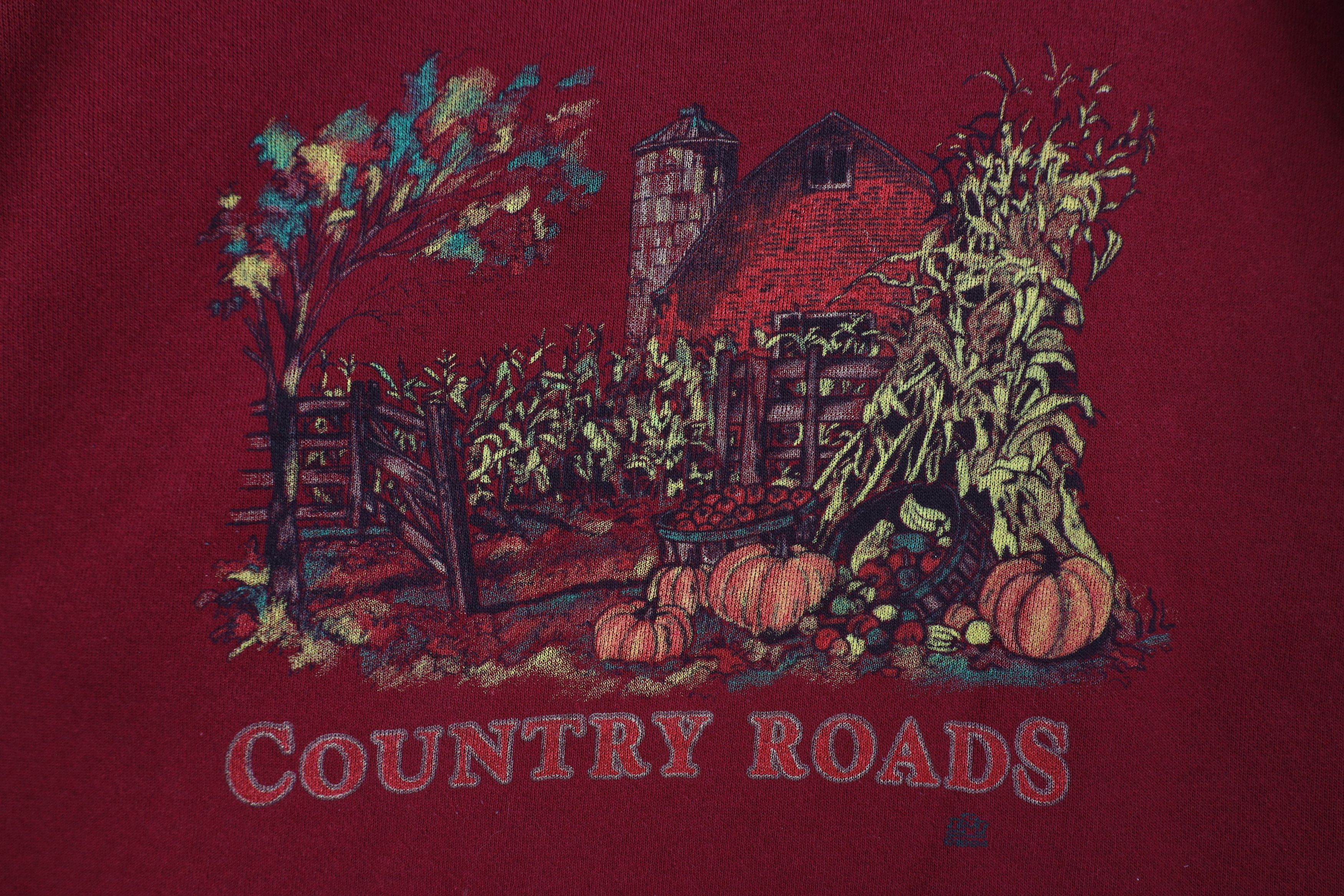 Vintage Vintage 90s Country Country Roads Collared Sweatshirt USA Size L / US 10 / IT 46 - 4 Thumbnail