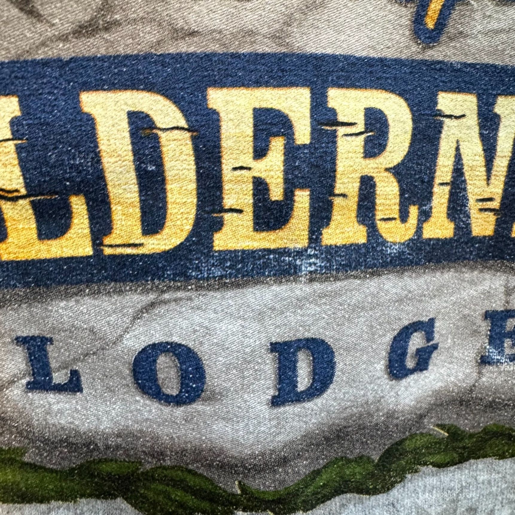 Disney VINTAGE Disney Hoodie Sweatshirt Medium Wilderness Lodge Mickey Goofy Donald Womens Hooded Full Zip Regular Gray Size M / US 6-8 / IT 42-44 - 6 Thumbnail