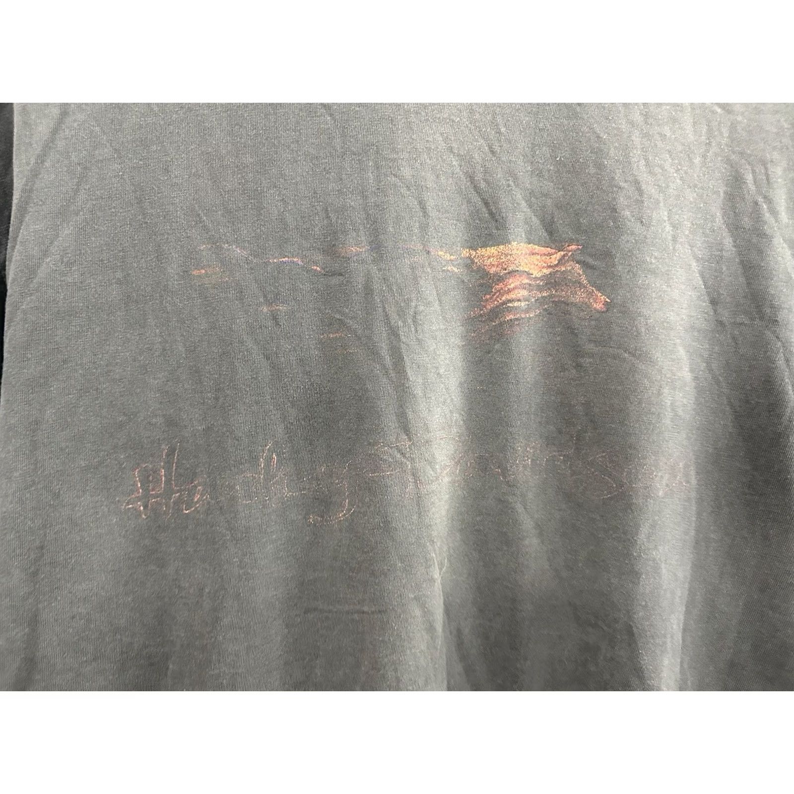 Harley Davidson VTG Harley-Davidson T-Shirt XL Black Distressed Flame Fire Wolf Bike Grunge Ride Men Mens Size US XL / EU 56 / 4 - 7 Thumbnail