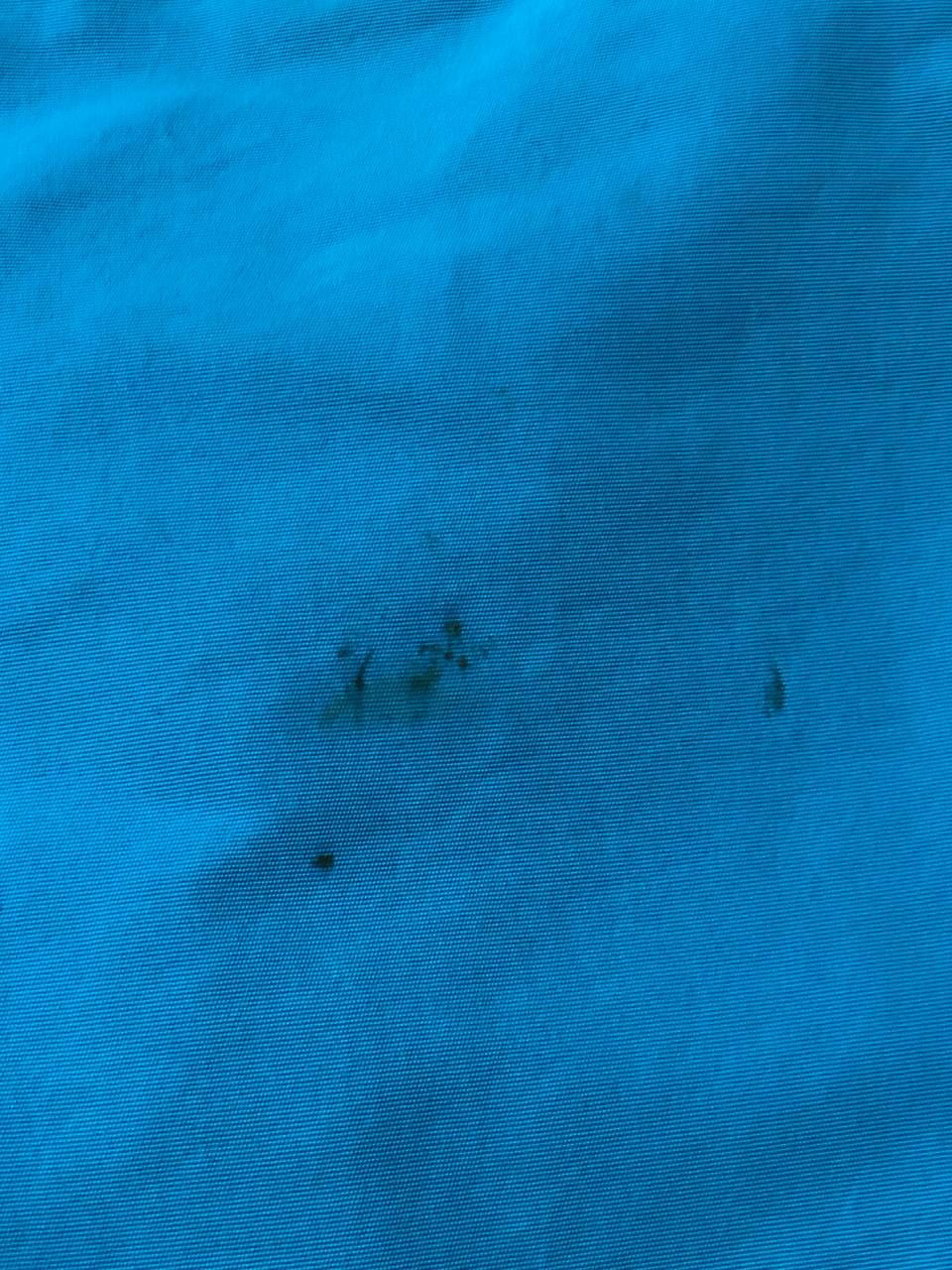 Polo Ralph Lauren Polo Ralph Lauren Men’s Blue Swim Shorts – Size L Size US 34 / EU 50 - 14 Thumbnail