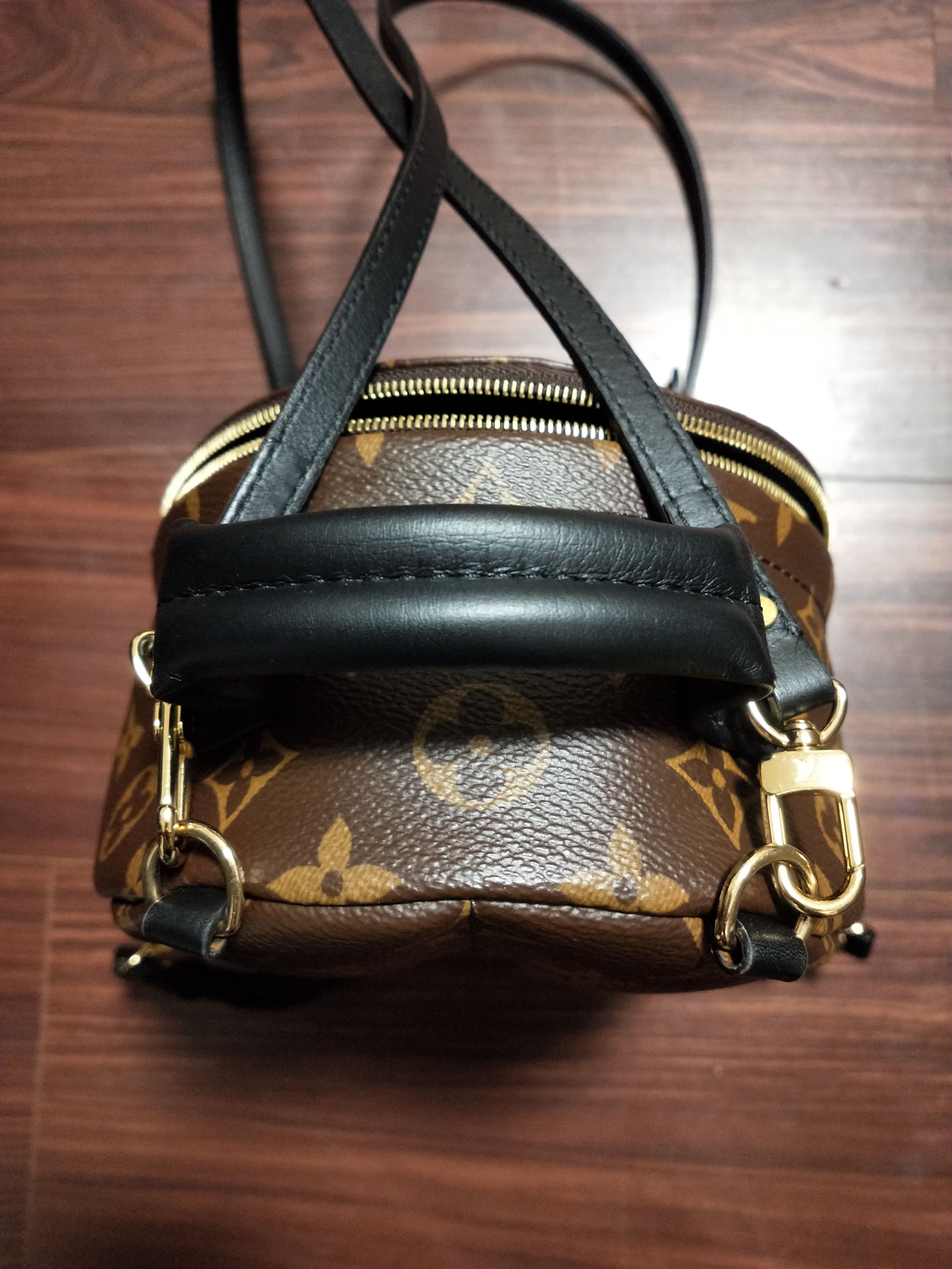 Louis Vuitton Palm Springs Monogram Mini Backpack Size ONE SIZE - 4 Thumbnail
