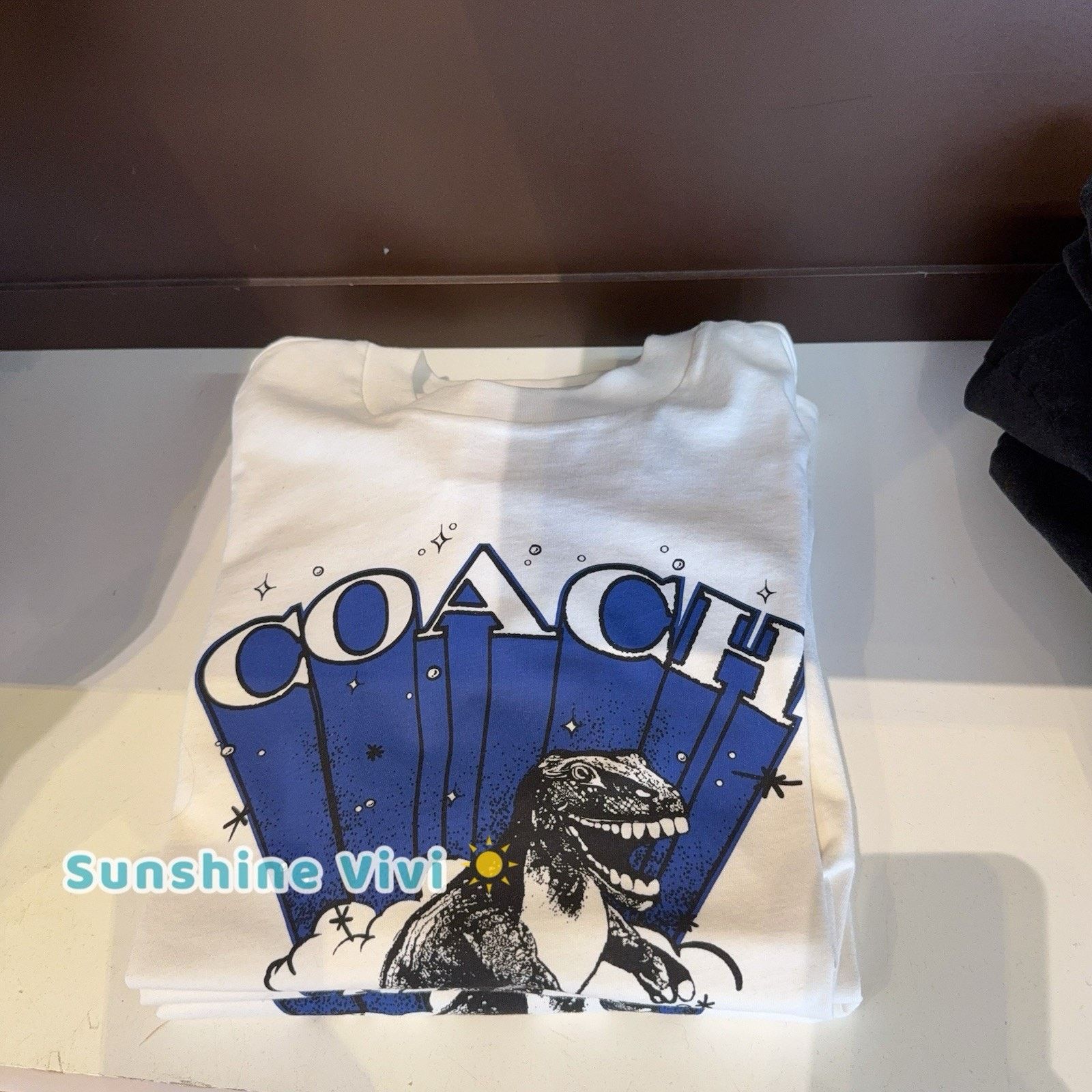 Coach NWT COACH Men T-Rex Relaxed T-Shirt Vintage CCT56 small Size US S / EU 44-46 / 1 - 2 Thumbnail
