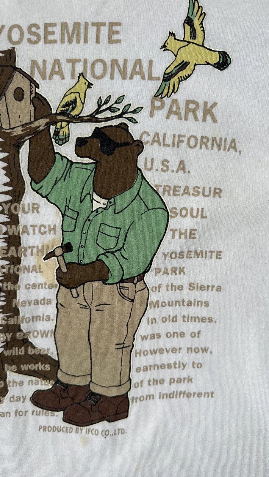 Vintage VINTAGE BOBBY BROWN YOSEMITE NATIONAL PARK TEE Size US L / EU 52-54 / 3 - 3 Thumbnail