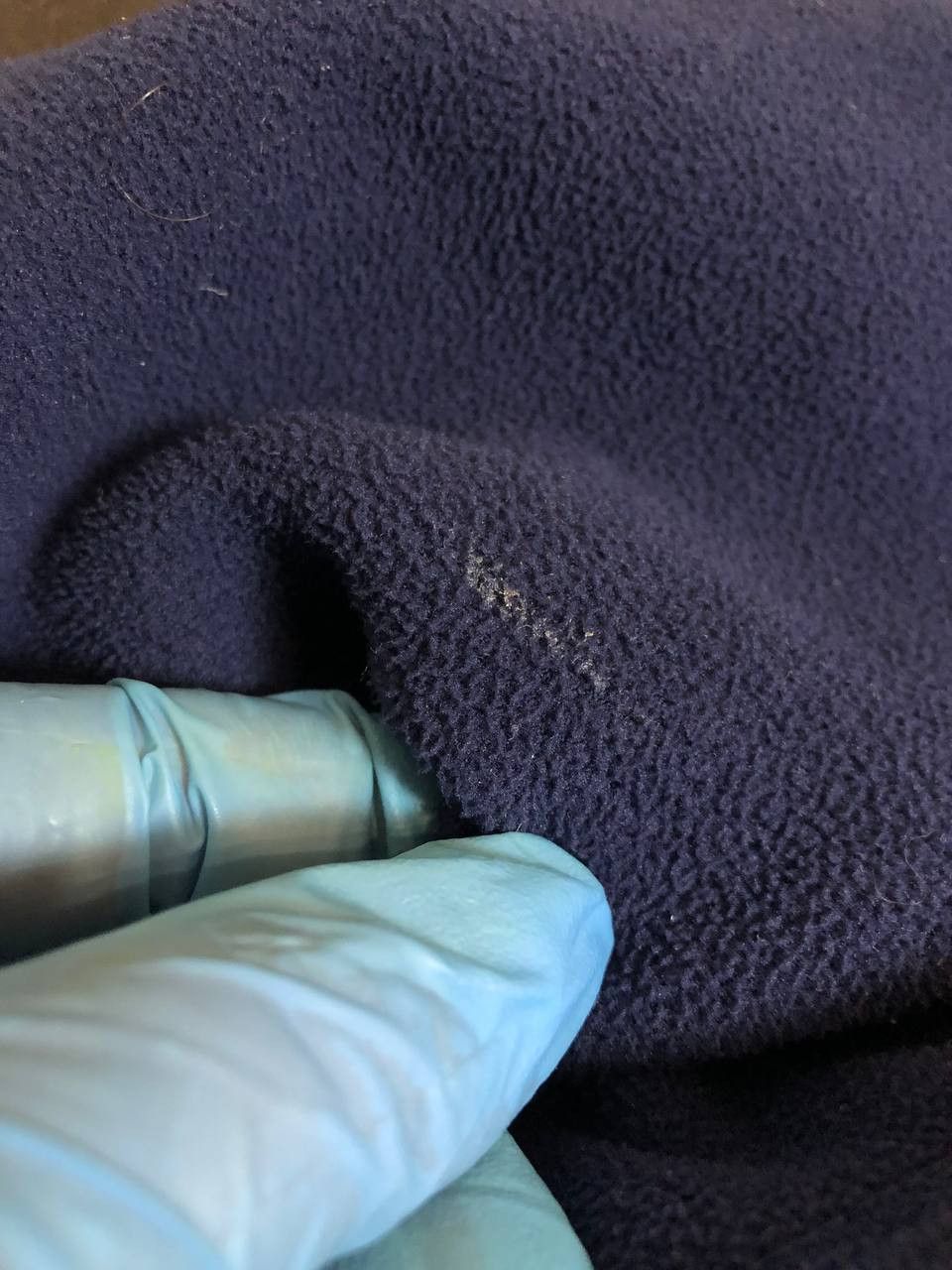 Burberry Burberry vintage crazy Y2K hoodie zip blue Thomas Burberry Size L / US 10 / IT 46 - 7 Thumbnail