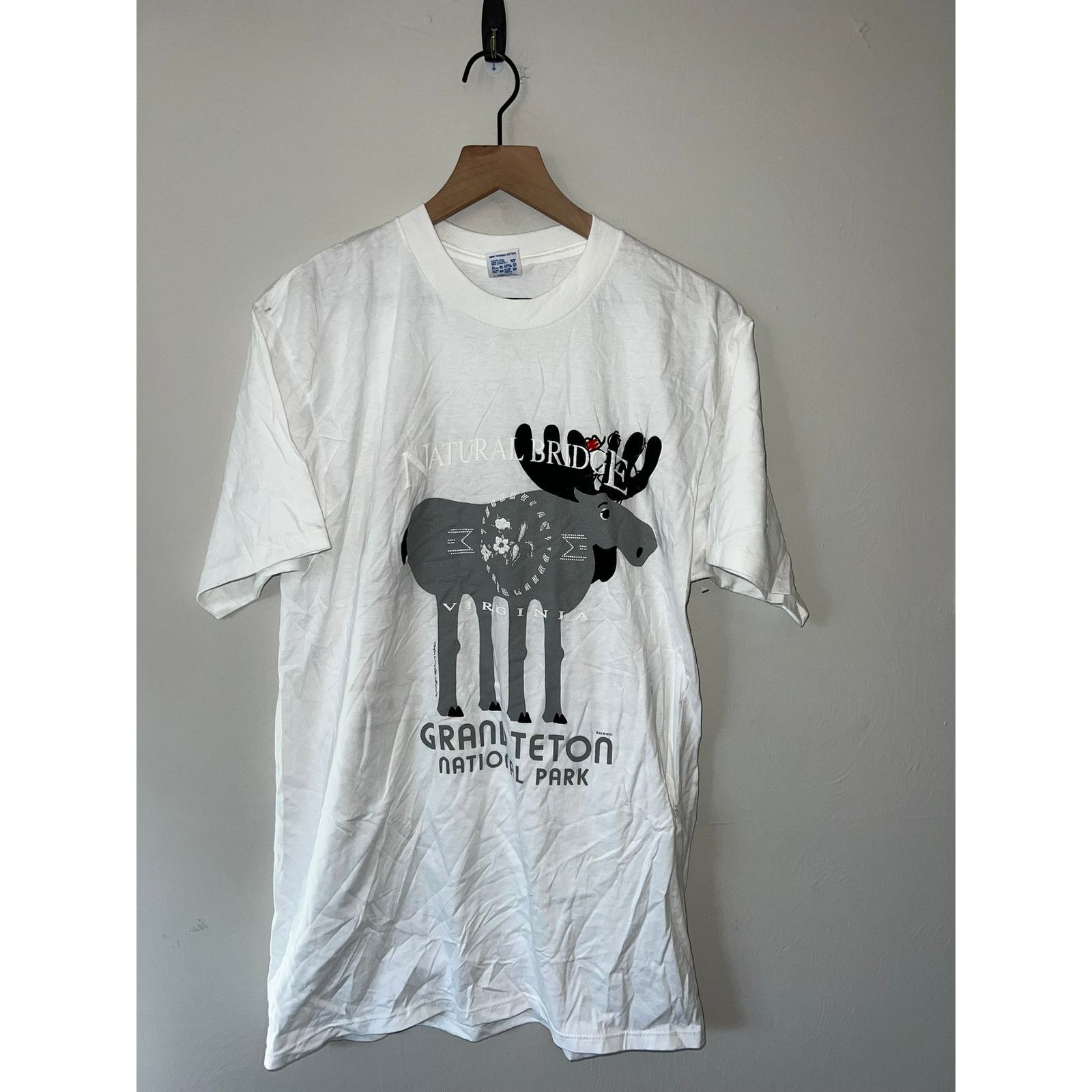Jerzees Vintage National Park Shirt Test Print Grand Teton Large Size US L / EU 52-54 / 3 - 1 Thumbnail