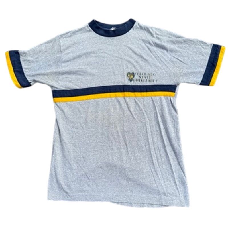 Champion 70s Champion Blue Bar Ringer T-Shirt Colorado State Rams L Size US L / EU 52-54 / 3 - 2 Thumbnail