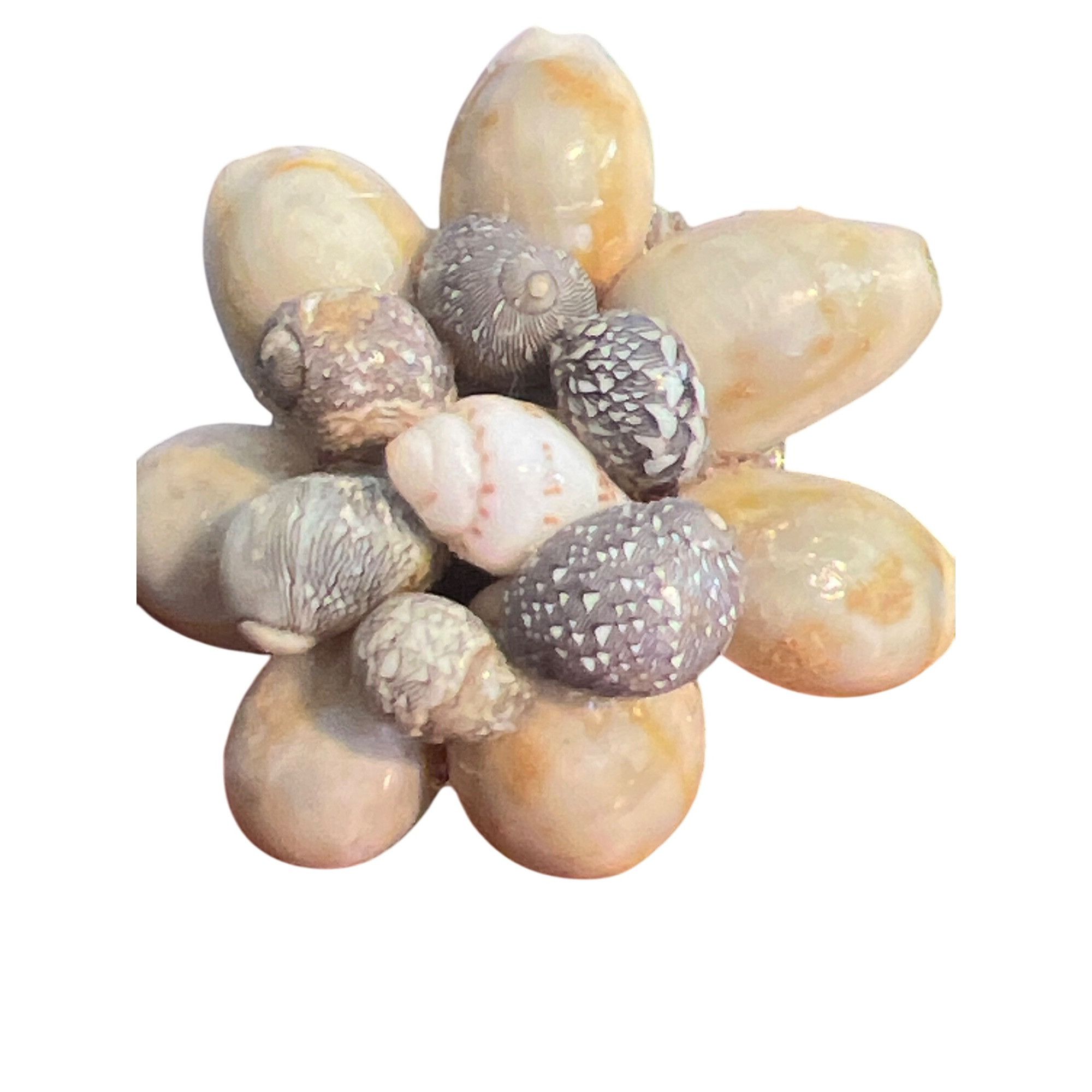 Other Vintage Cowrie Shell Cluster Clip On Earrings Estate Vacatio Size ONE SIZE - 2 Thumbnail
