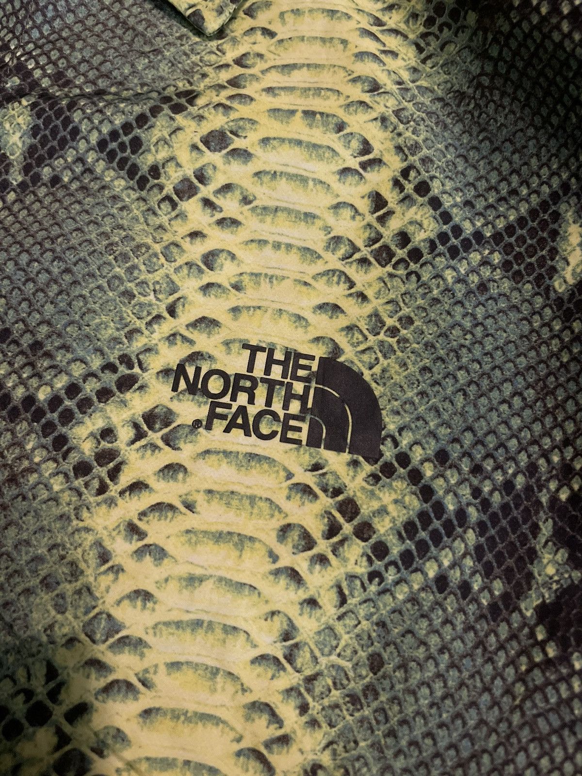 Supreme × The North Face Supreme X The North Face Snakeskin Coach SS18 Size US L / EU 52-54 / 3 - 3 Thumbnail