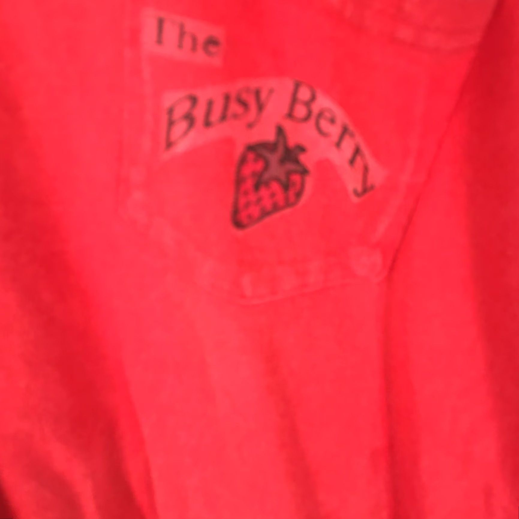 Hanes Hanes Mens Short Sleeve T-Shirt The Busy Berry Red Graphic Tee XXXL Shirt Size US XXL / EU 58 / 5 - 3 Thumbnail