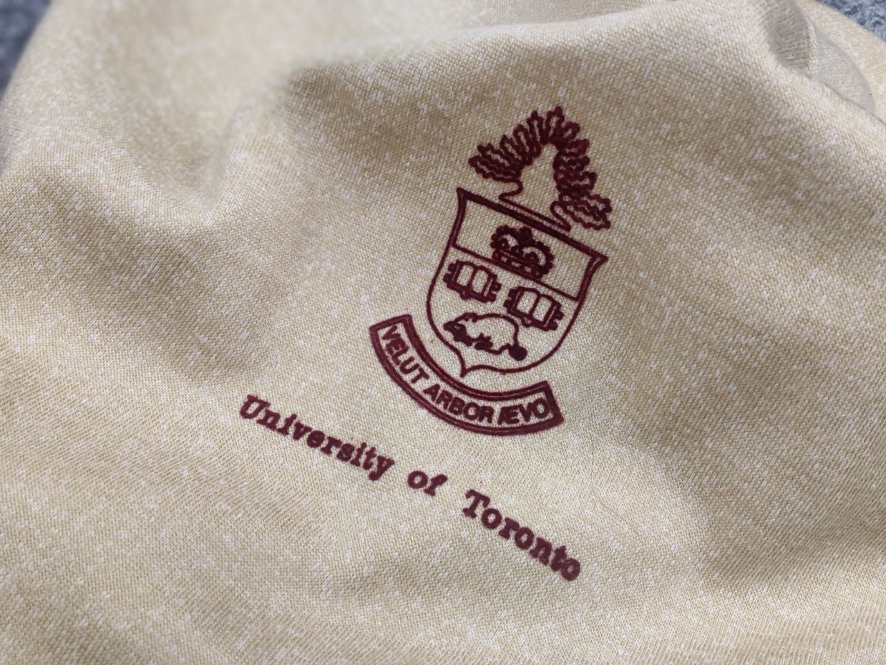 Vintage Vintage University of Toronto Crew Check Sweatshirt Y2K Size US L / EU 52-54 / 3 - 11 Thumbnail