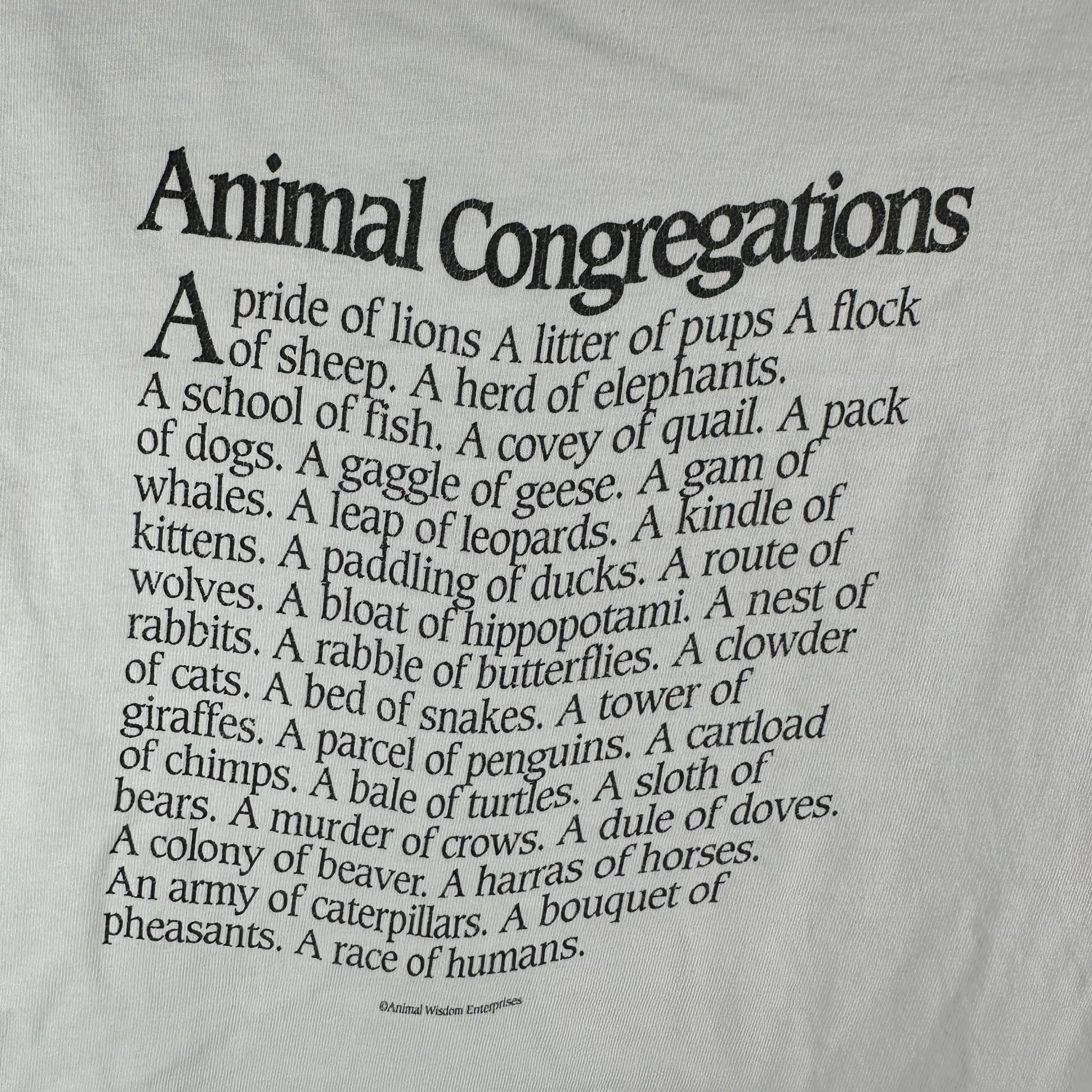 Vintage 1991 A Parliament of Owls Detroit Zoo Nature Art T-Shirt Size US L / EU 52-54 / 3 - 4 Thumbnail