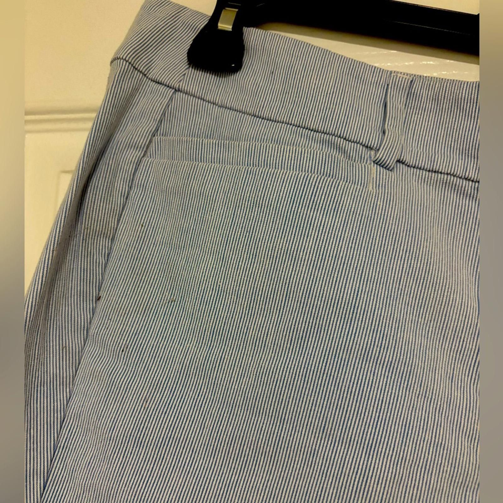 Other LOFT Light Blue and White Striped Garment Size 34" / US 12 / IT 48 - 2 Thumbnail