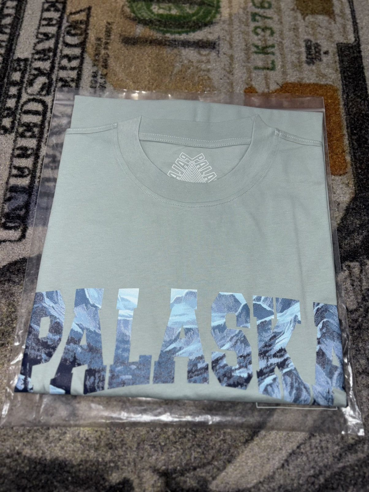 Palace Palace Palaska T-Shirt Hazy Green Size US L / EU 52-54 / 3 - 1 Thumbnail