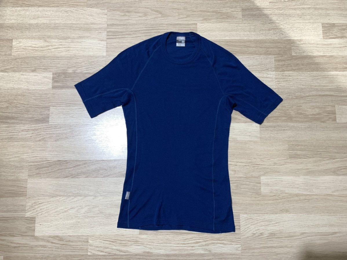 Icebreaker Icebreaker merino 200 t shirt M Size US M / EU 48-50 / 2 - 2 Thumbnail