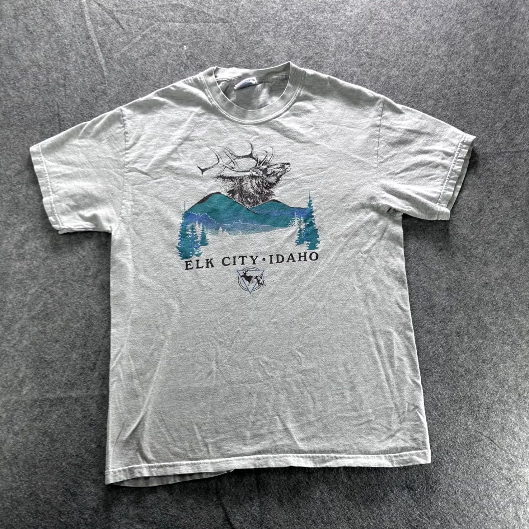 Hanes VINTAGE Hanes Shirt Mens M Gray Beefy-T Elk City Idaho Elk Mountain Graphic Heavyweight Size US M / EU 48-50 / 2 - 2 Thumbnail
