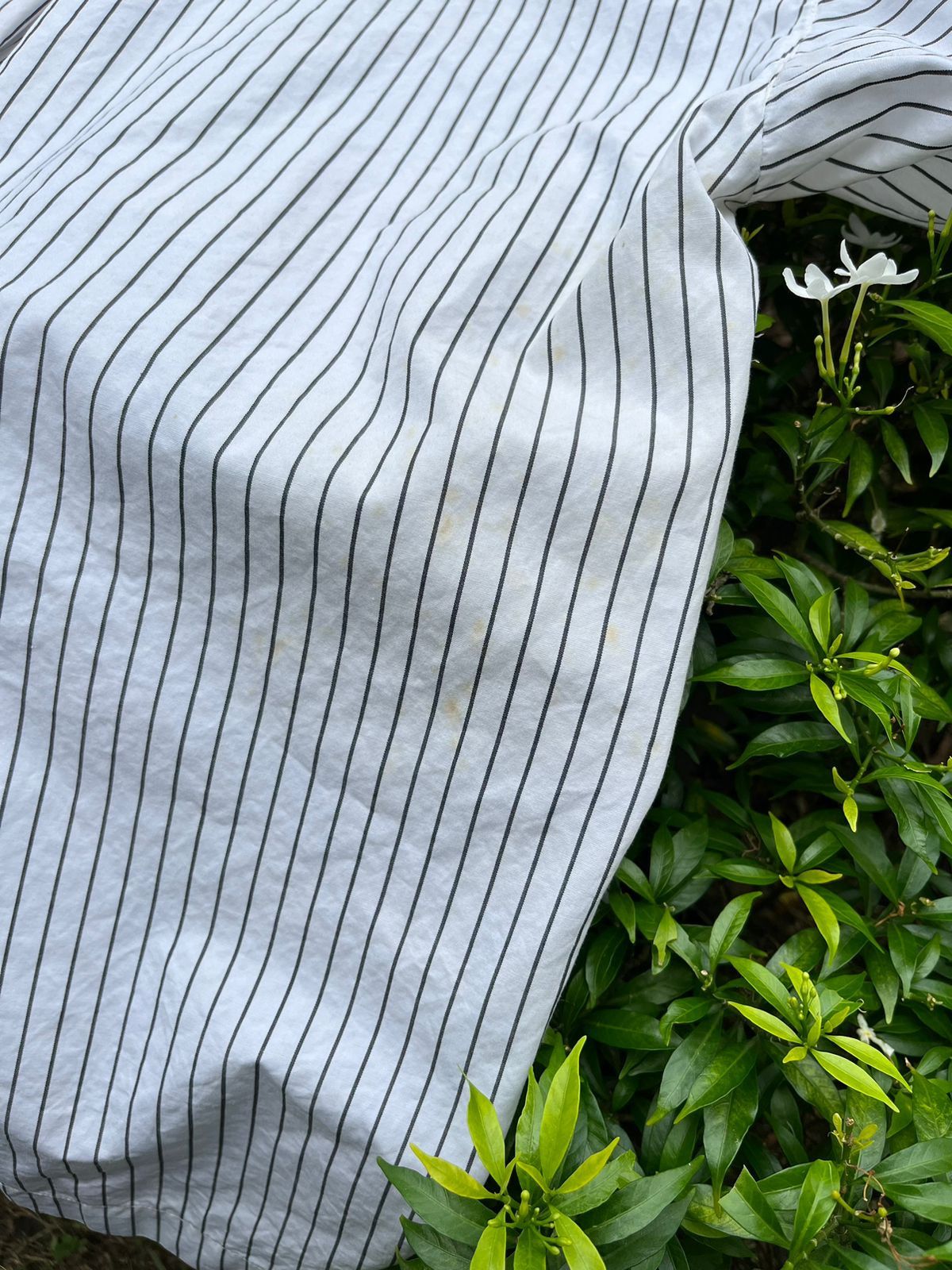 Issey Miyake × Japanese Brand Issey Miyake Stripe Button Shirt Size US M / EU 48-50 / 2 - 6 Thumbnail