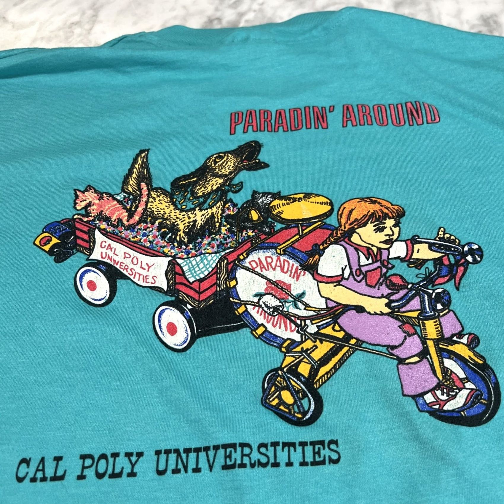 Hanes VINTAGE Cal Poly Rose Float Parade Club T Shirt XL Single Stitch Blue USA Shirt Mens Size US XL / EU 56 / 4 - 2 Thumbnail