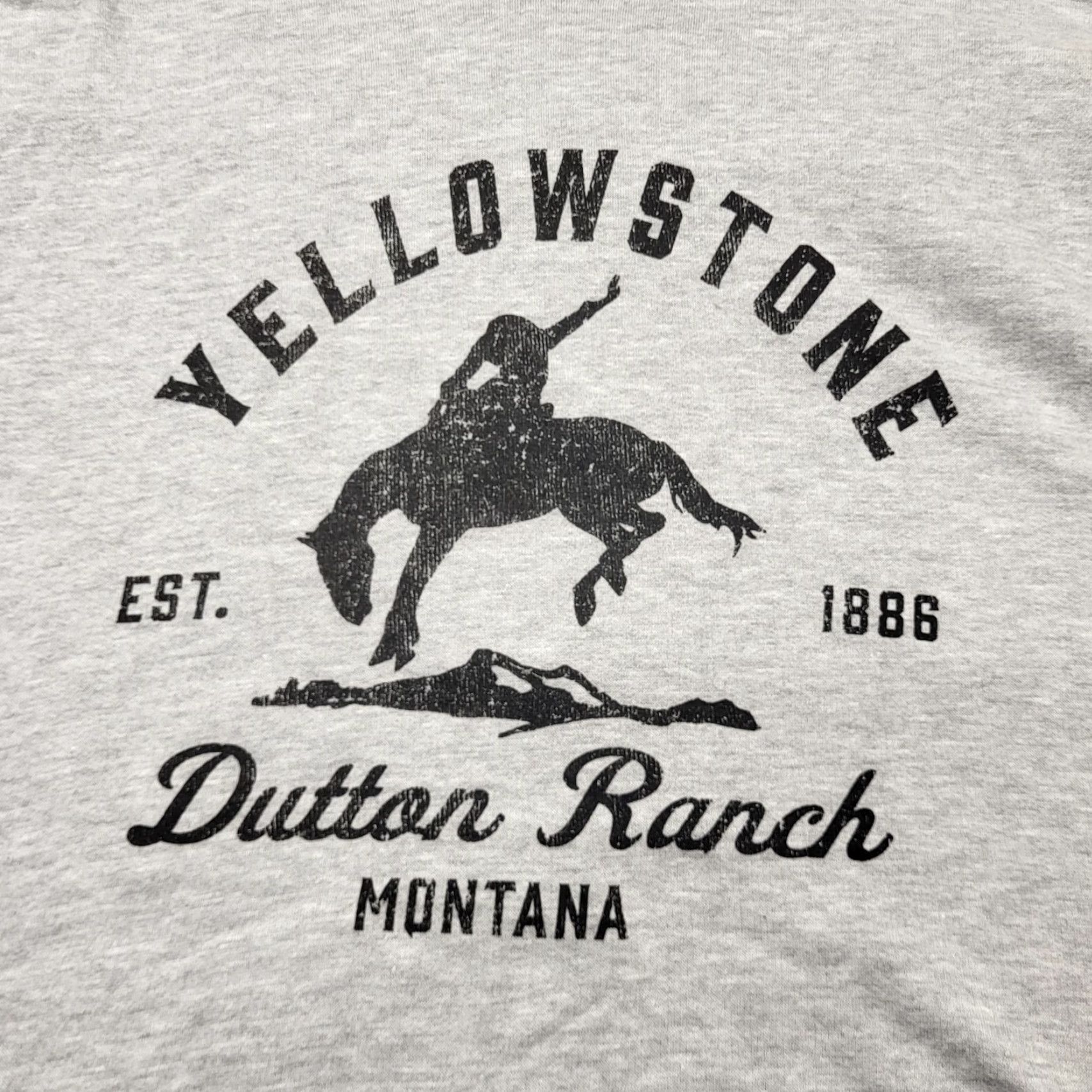 Vintage Yellowstone Hoodie Mens 2XL Gray Dalto n Ranch Bucking Bronco Montana Logo Graphic Print Pullover Hooded Fleece Sweatshirt Western Carded? Size US XXL / EU 58 / 5 - 6 Thumbnail