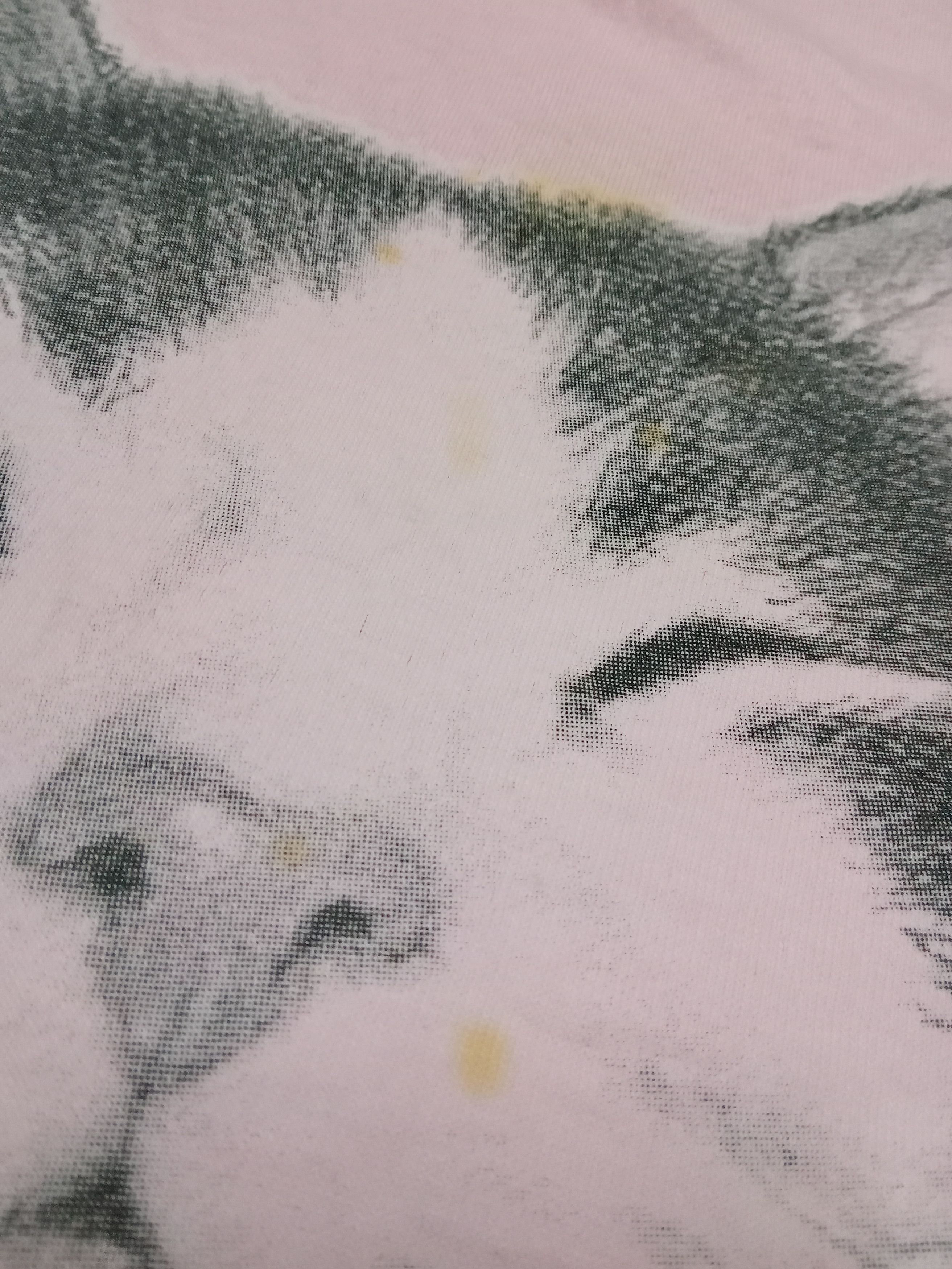 Jerzees × Vintage Vintage Rare Virginia Miller - Iron On Cat Big Face Motive Size US M / EU 48-50 / 2 - 8 Thumbnail