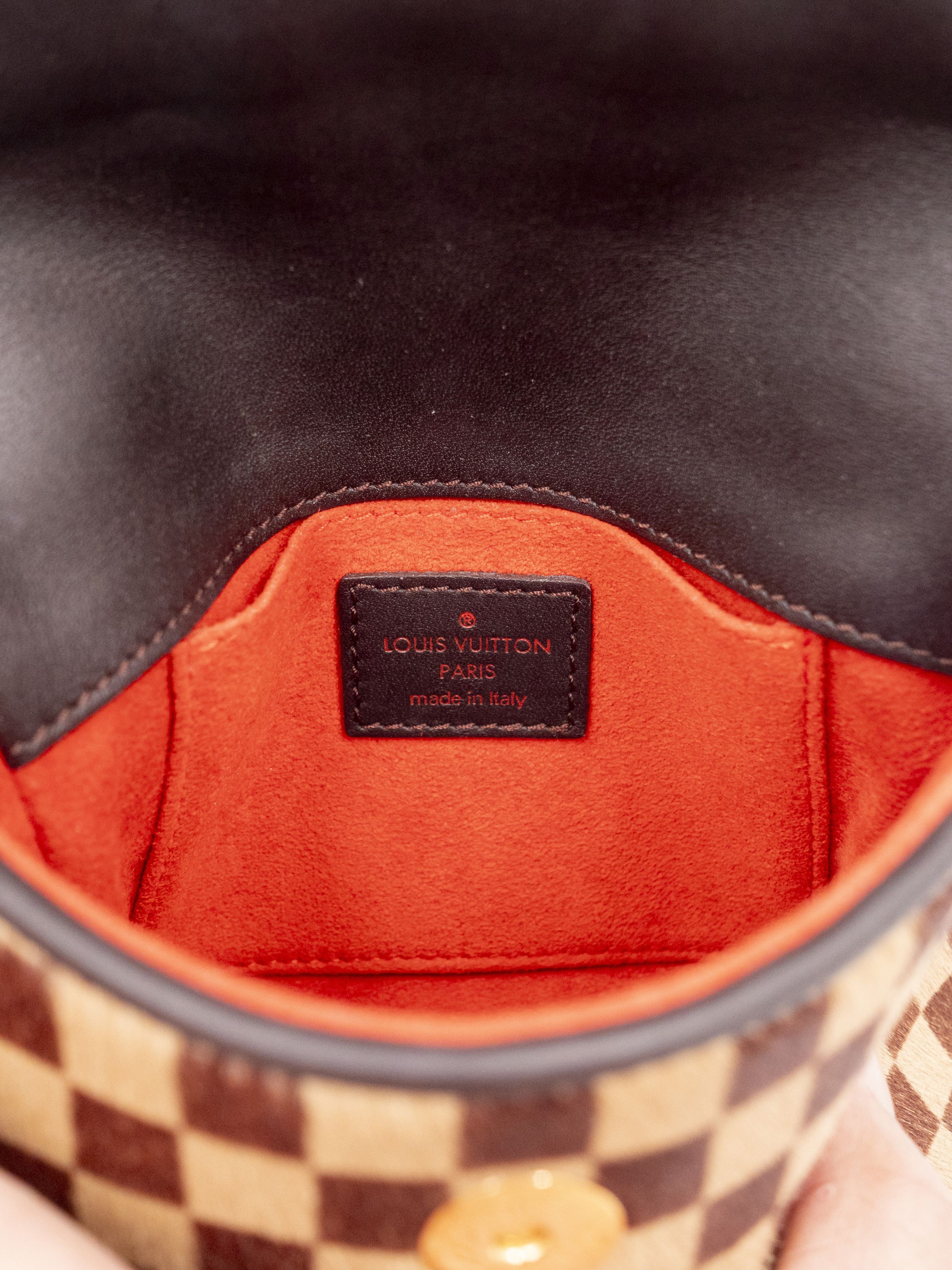 Louis Vuitton Damier Sauvage Gazelle Crossbody Bag Size ONE SIZE - 9 Thumbnail