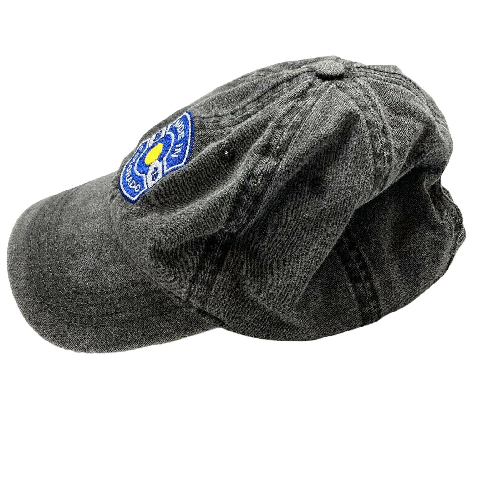Otto MADE IN COLORADO Gray Dad Hat Cap One Size Adjustable Size ONE SIZE - 3 Thumbnail
