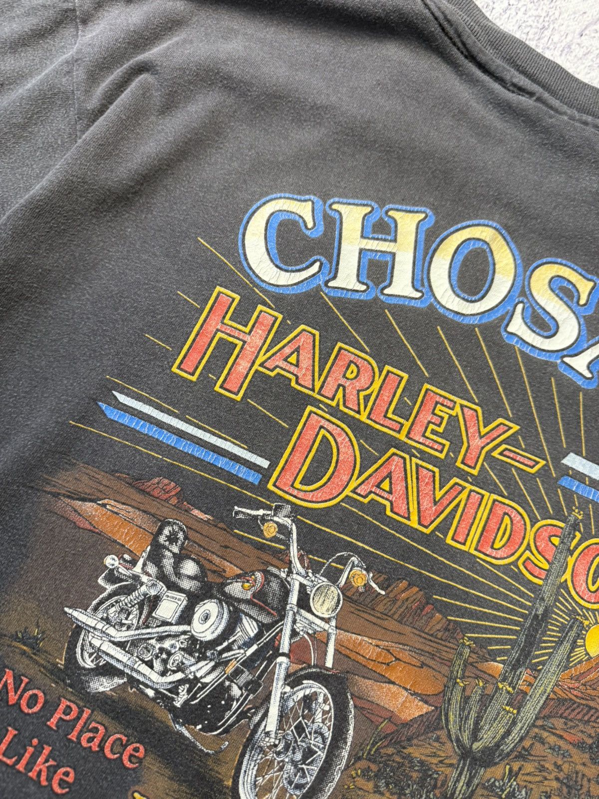 Harley Davidson Vintage Harley Davidson 1993 USA Chosa’s Mesa Arizona Y2K Size US L / EU 52-54 / 3 - 22 Thumbnail