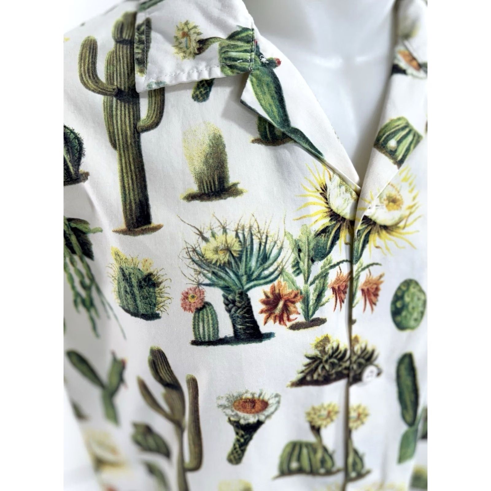 Brixton BRIXTON Cactus Desert Western Southwestern Mens M Shirt Multicolor EXCELLENT Size US M / EU 48-50 / 2 - 2 Thumbnail