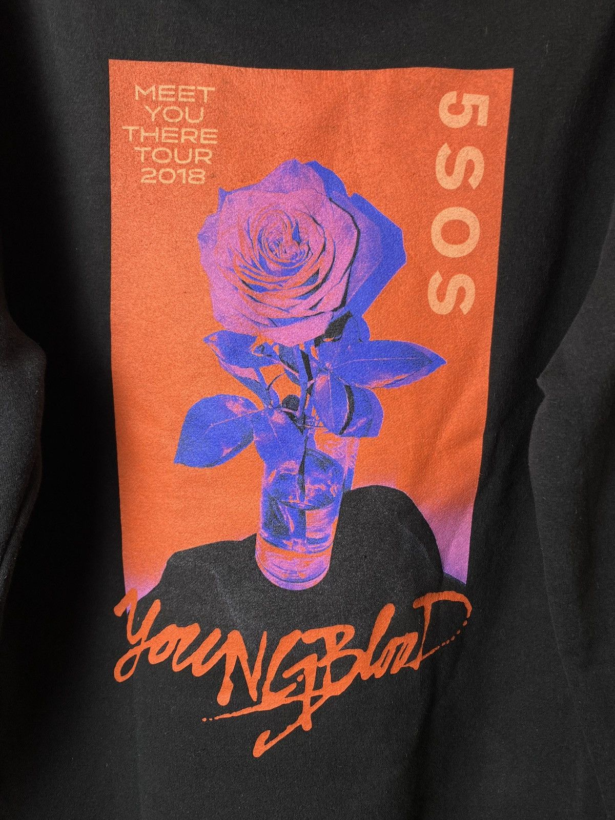 Band Tees Rare! Young Blood 5 SOS Band Hoodie Rock Punk Size US L / EU 52-54 / 3 - 7 Thumbnail