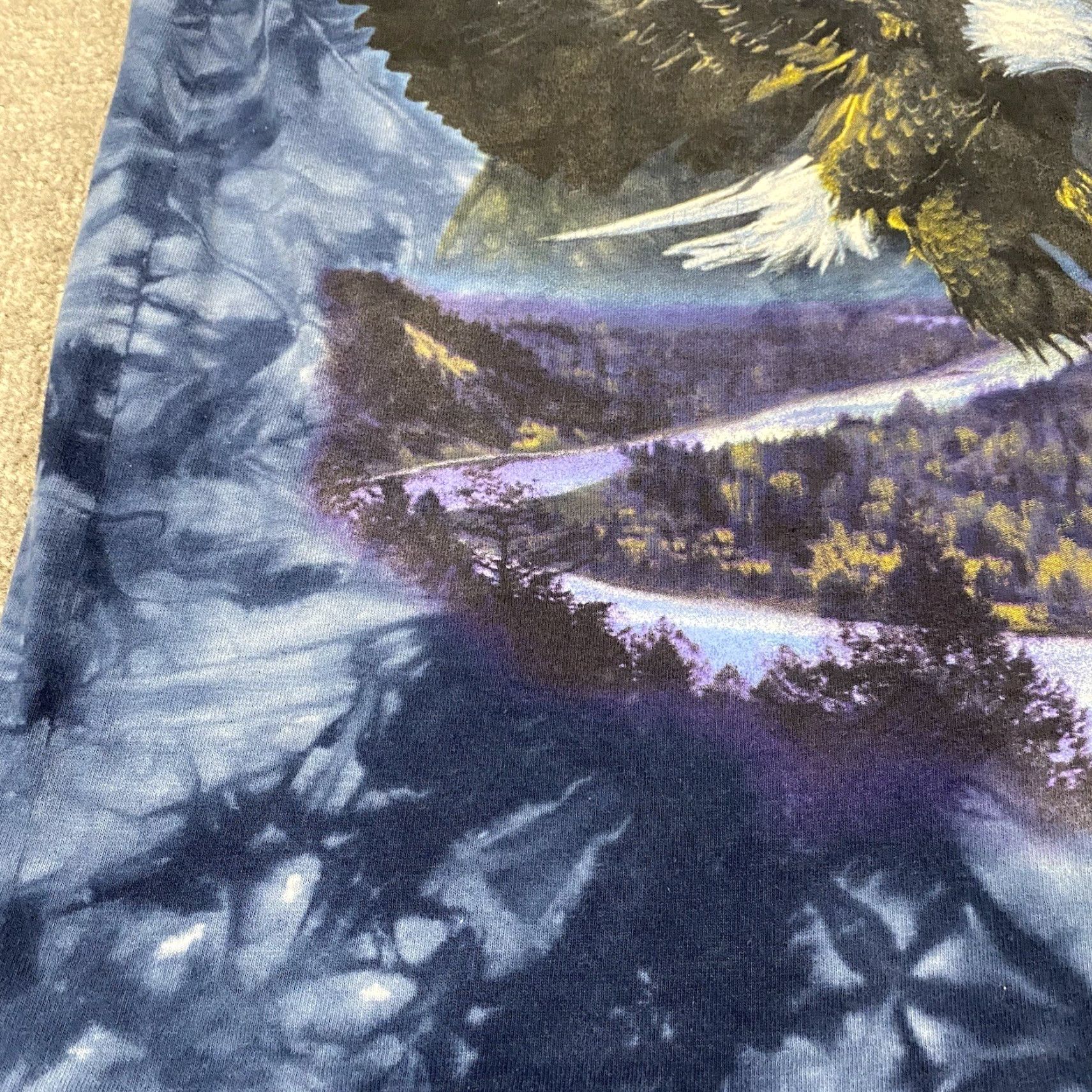 Gildan Gildan Eagle Shirt Men Large Blue Mountain Nature Animal Graphic Tee S/S Size US L / EU 52-54 / 3 - 3 Thumbnail
