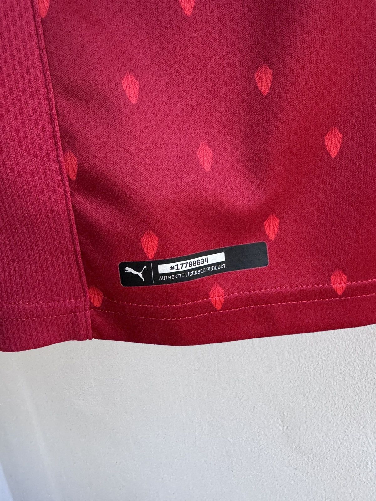 Puma AUSTRIA OFB 2020 2021 2022 HOME FOOTBALL SHIRT SOCCER JERSEY Size US L / EU 52-54 / 3 - 6 Thumbnail