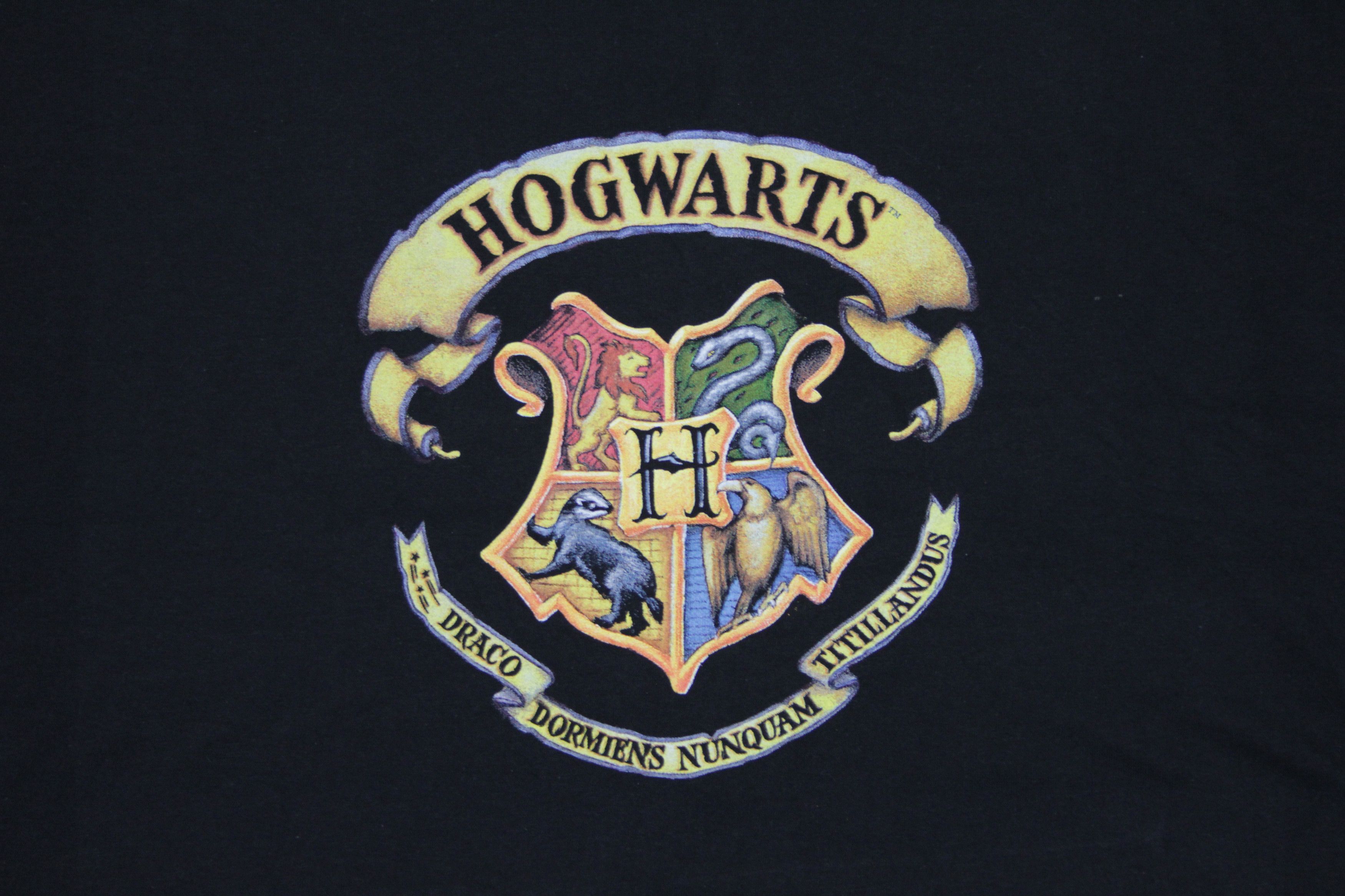 Warner Bros 2001 Harry Potter Hogwarts Merch Big Logo T-Shirt Vintage Size US XL / EU 56 / 4 - 4 Thumbnail