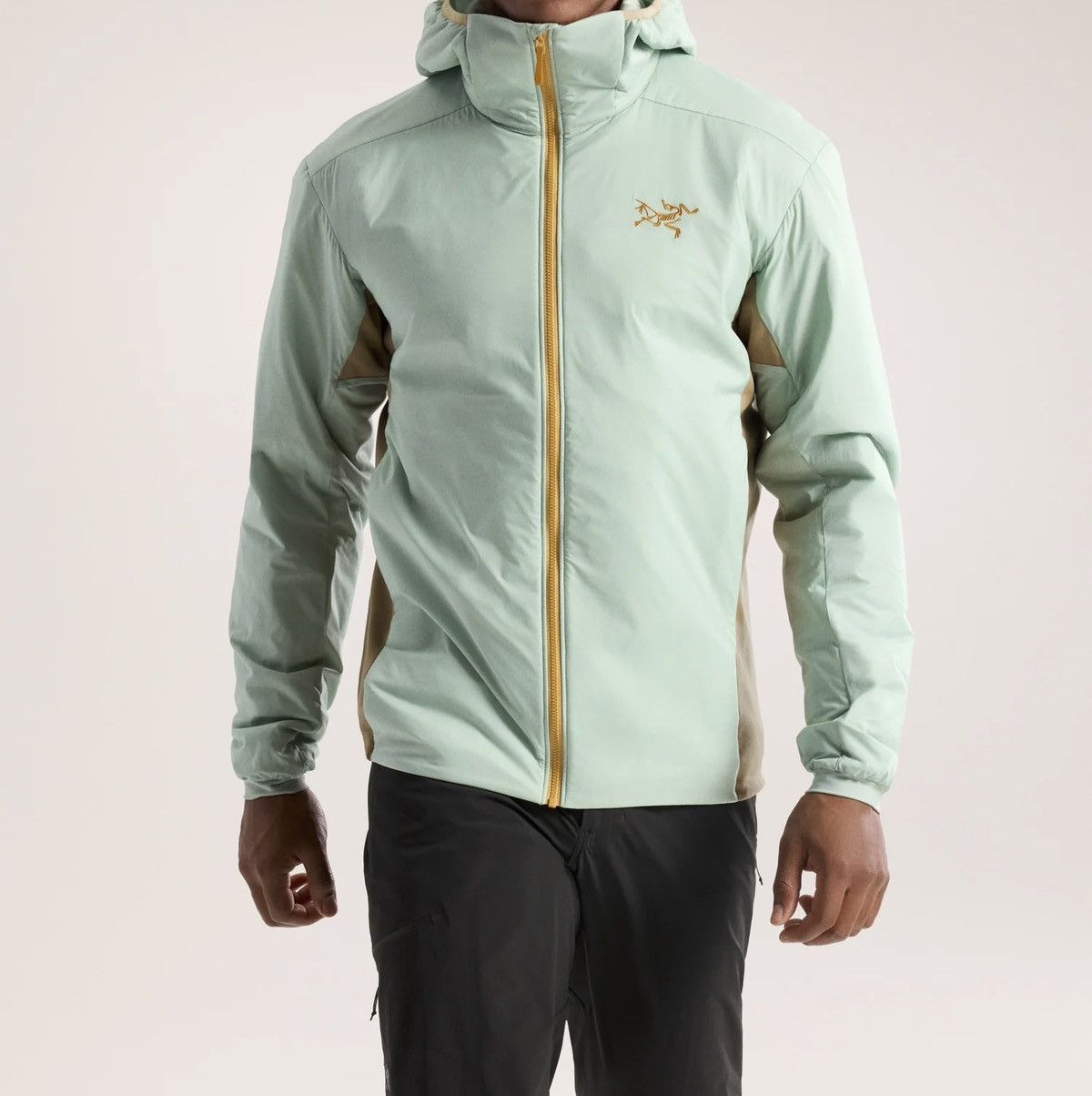 Arc'teryx Arc’teryx Atom Hoody Jacket Color Trail Magic Size US L / EU 52-54 / 3 - 1 Thumbnail