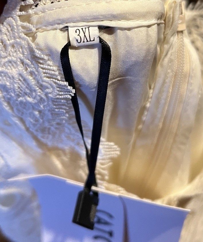 Other Catchall Women’s 3XL Ivory Lace Fit & Flare Midi Dress Size 3XL / US 20-22 - 4 Thumbnail