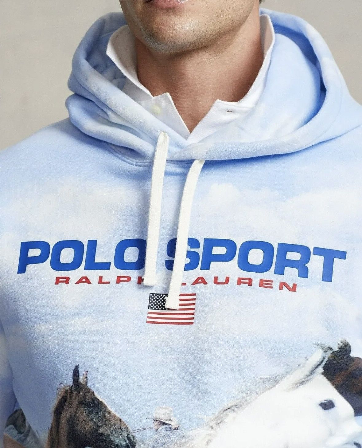 Polo Ralph Lauren Polo Sport Ralph Lauren "Wild Horses" Hoodie Size US M / EU 48-50 / 2 - 9 Thumbnail