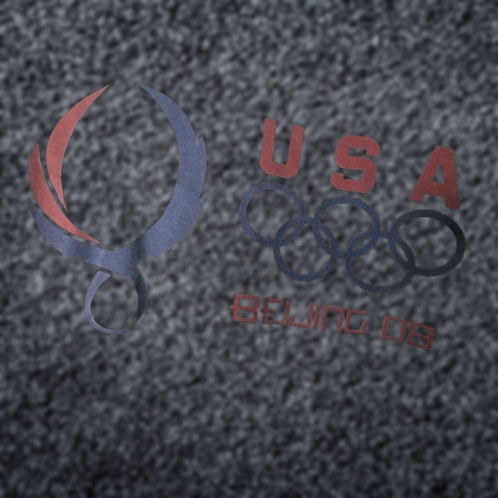 Delta Team USA 2008 Beijing Olympics T Shirt Grey Mens L Size US L / EU 52-54 / 3 - 1 Thumbnail