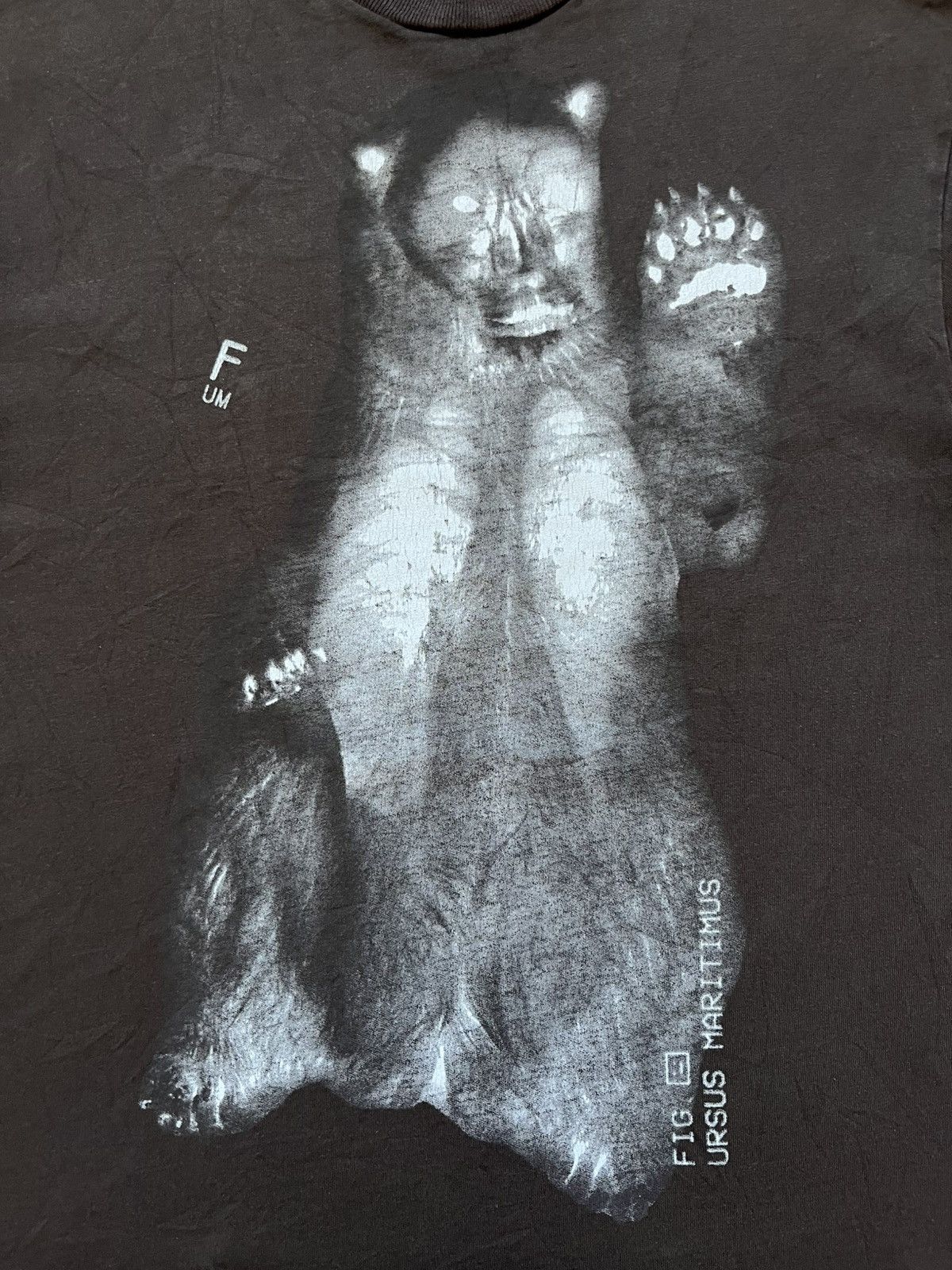 Acne Studios Acne Studios "Ursus Maritimus" Bear Graphic Tee - Dark Brown Size US L / EU 52-54 / 3 - 2 Thumbnail