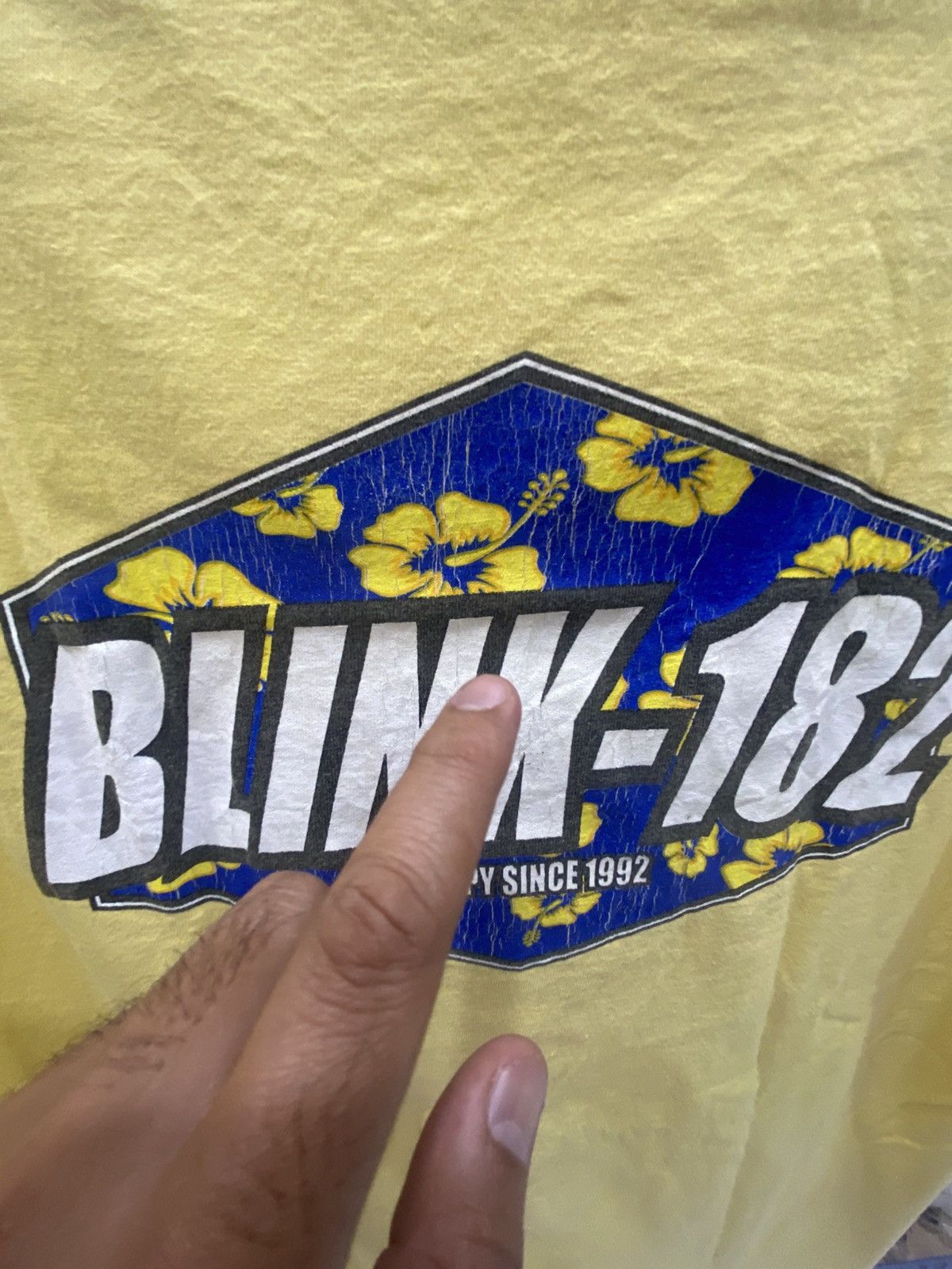 Band Tees VINTAGE BLINK 182 BAND TEES Size US M / EU 48-50 / 2 - 10 Thumbnail