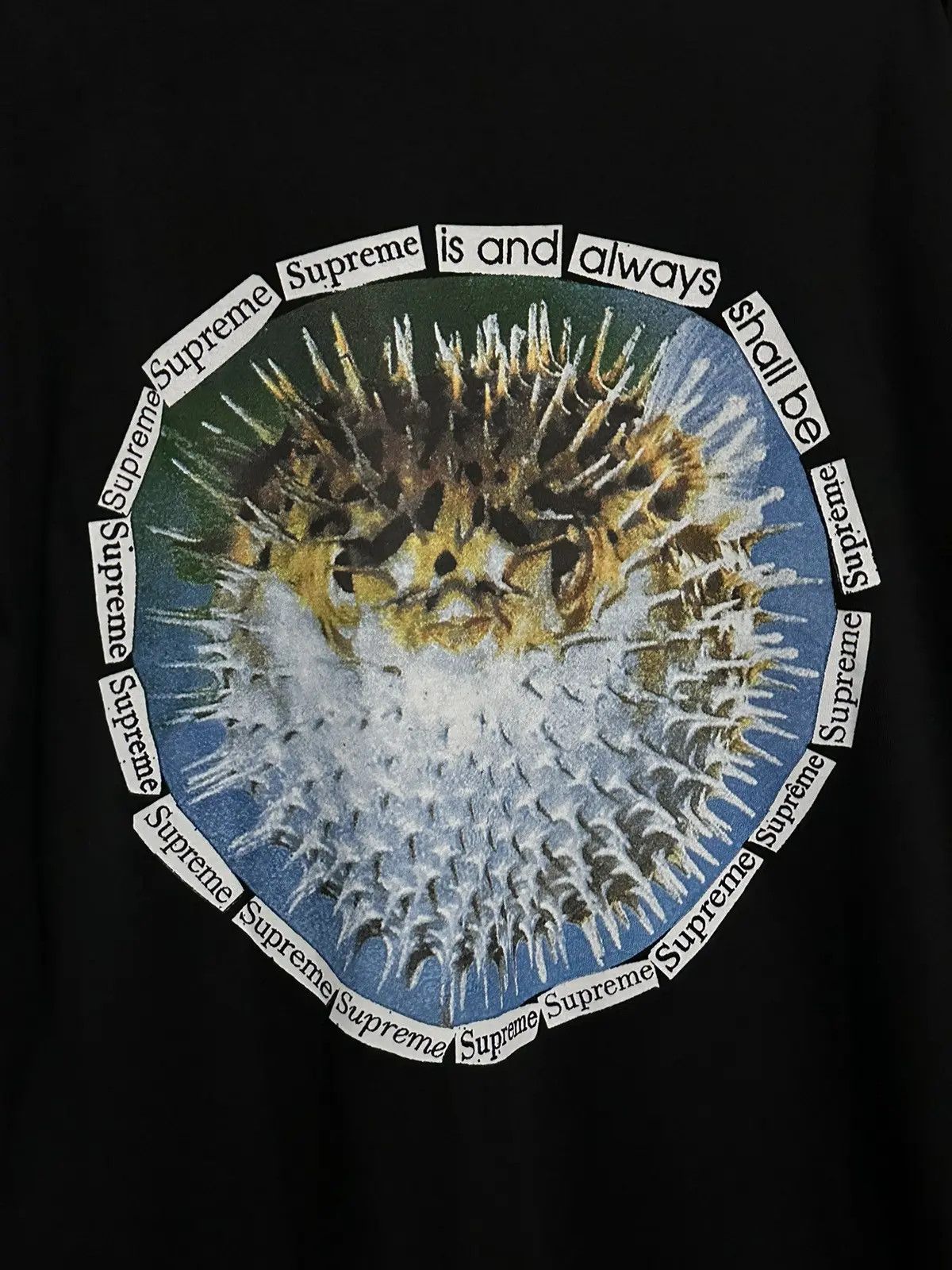 Supreme Supreme Blowfish Tee Size US L / EU 52-54 / 3 - 2 Thumbnail