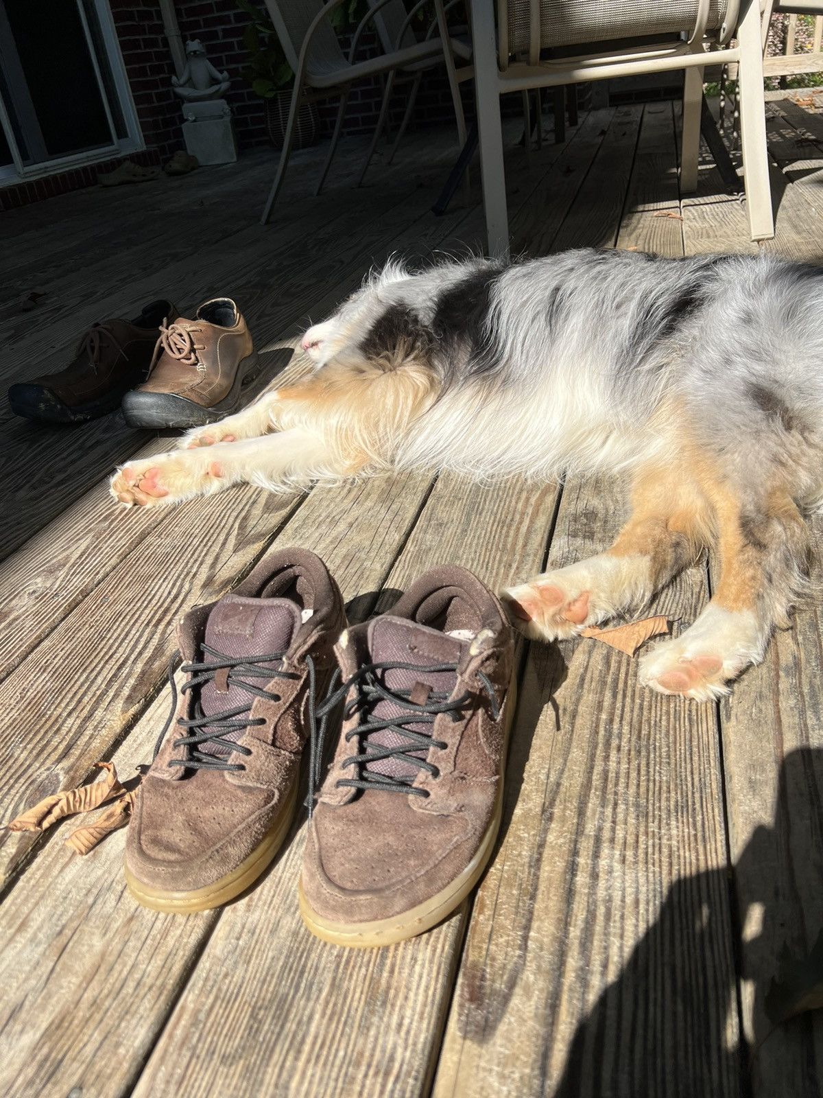 Nike Nike SB Dunk Bigfoot SUPER RARE Grailed