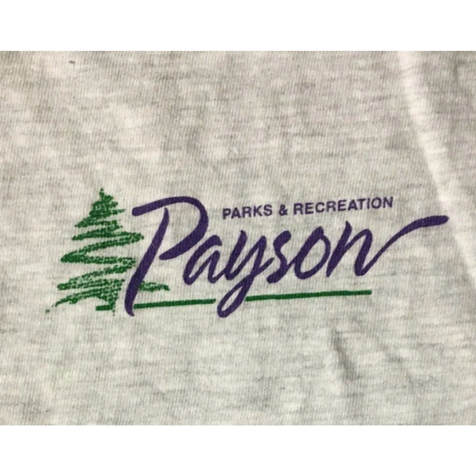 Champion VINTAGE Payson Arizona Softball Champions Shirt XL Gray Single Stitch T-Shirt Men 90s Grunge School Baseball Track & Field USA USA Size US XL / EU 56 / 4 - 4 Thumbnail