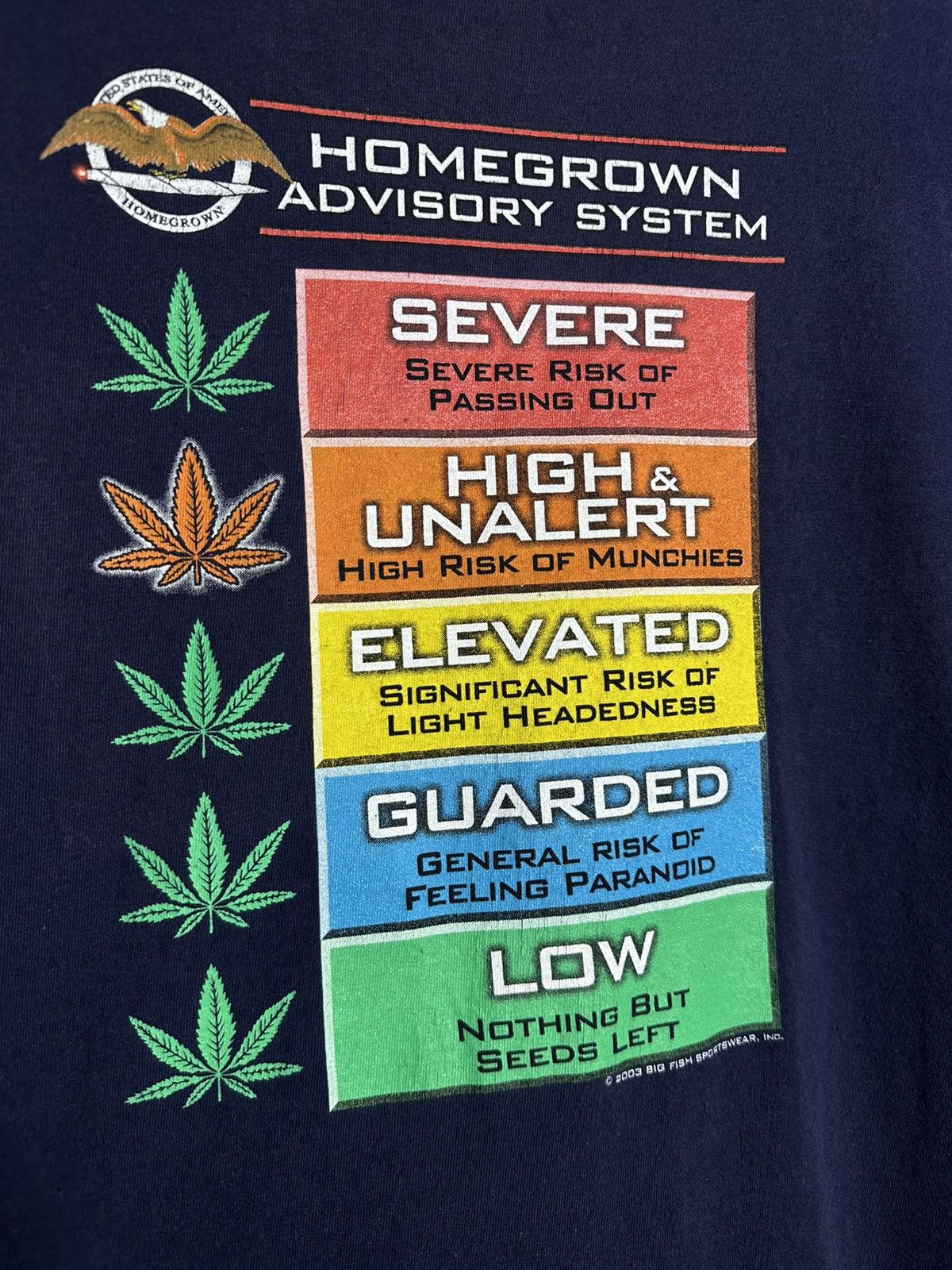 Rap Tees 🚨Vintage Homegrown Advisory System 2003 Weed T-Shirt Size US L / EU 52-54 / 3 - 4 Thumbnail