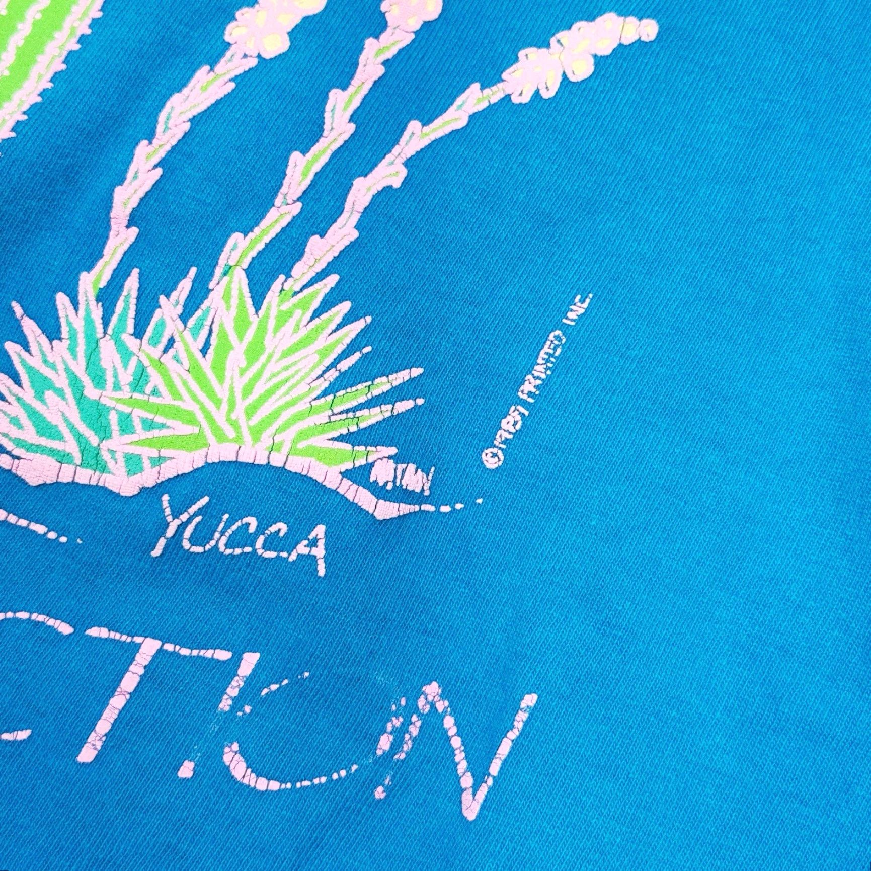 Altea VINTAGE Teal Apache Junction Cactus Single stitch T Shirt Mens Large blue 80s 90s Southwest USA Stedman Cotton Short Sleeve High Neck Shirt Size US L / EU 52-54 / 3 - 3 Thumbnail