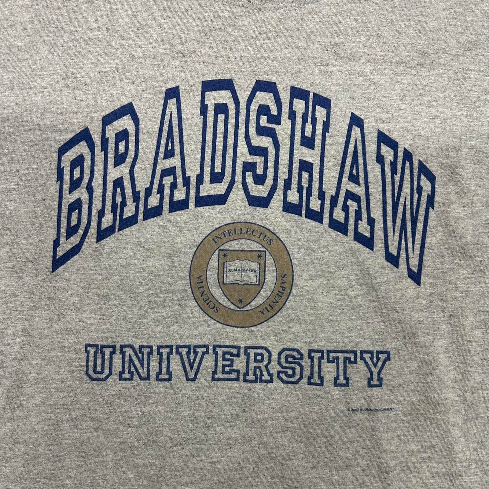 Gildan Y2K Grey and blue Bradshaw University logo t-shirt Size US L / EU 52-54 / 3 - 2 Thumbnail