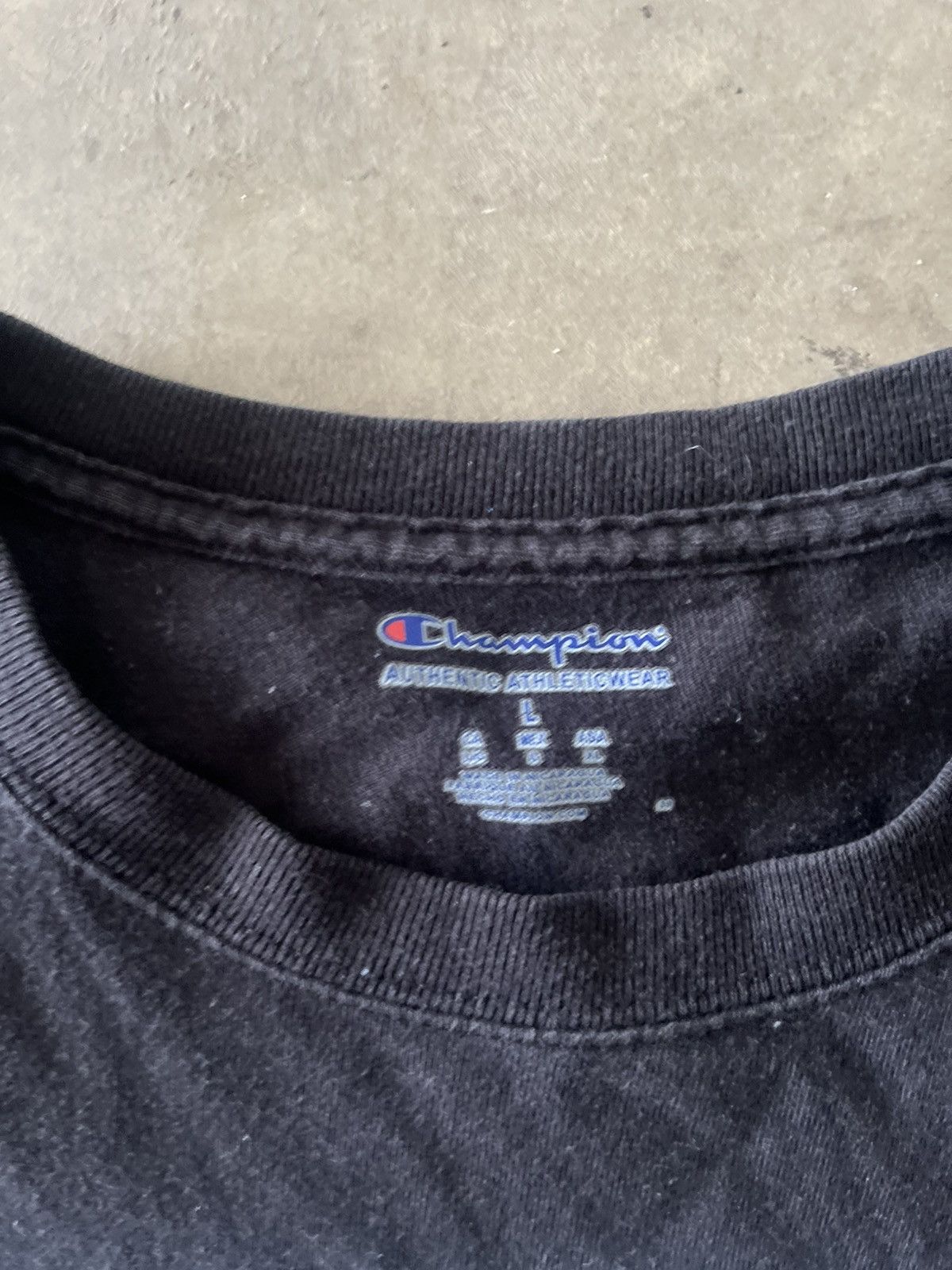 Champion Indiana State Champion Long Sleeve Size US L / EU 52-54 / 3 - 3 Thumbnail